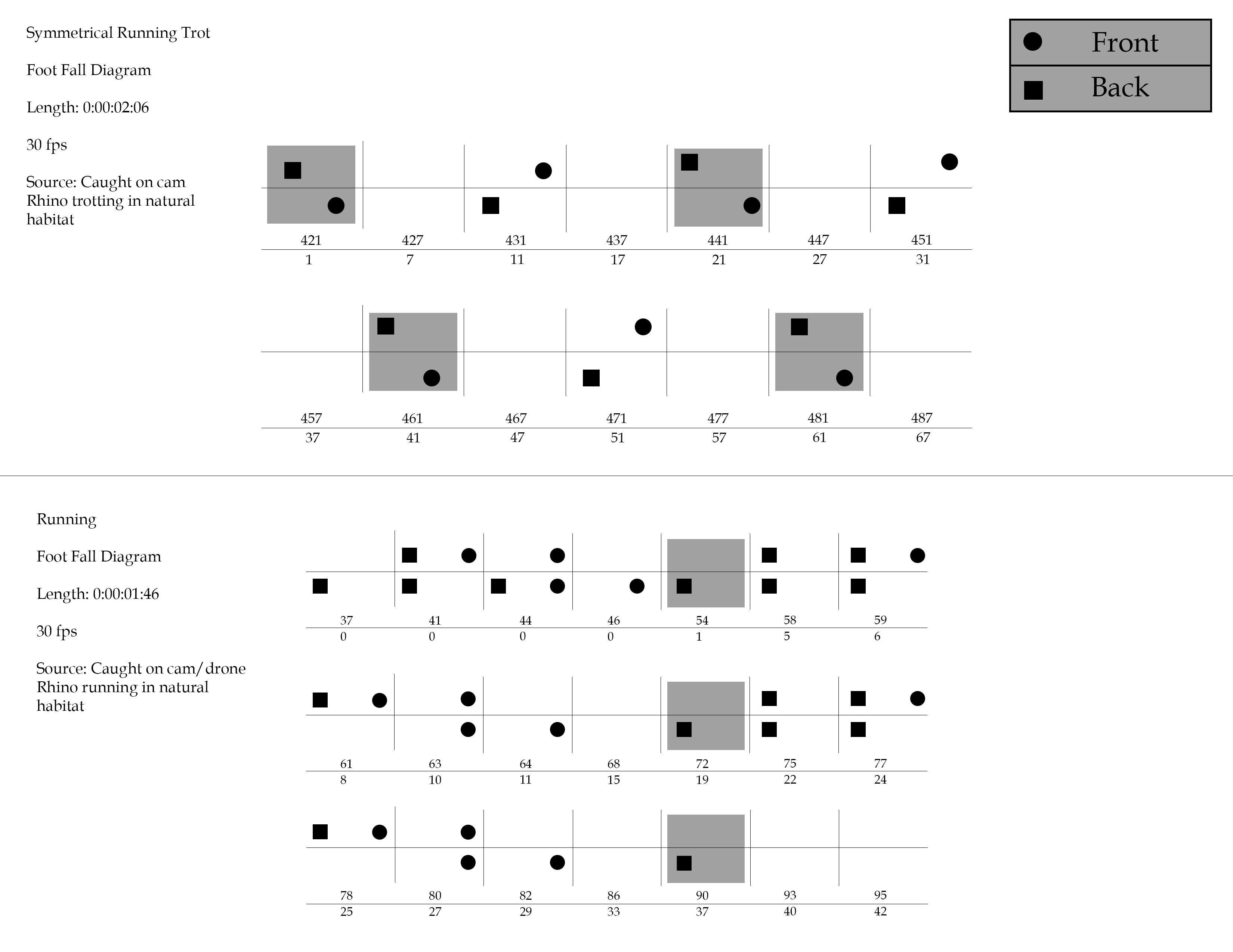 These are gait chart studies for the rhino. The rhino trots with symmetry, and a rotatory run.