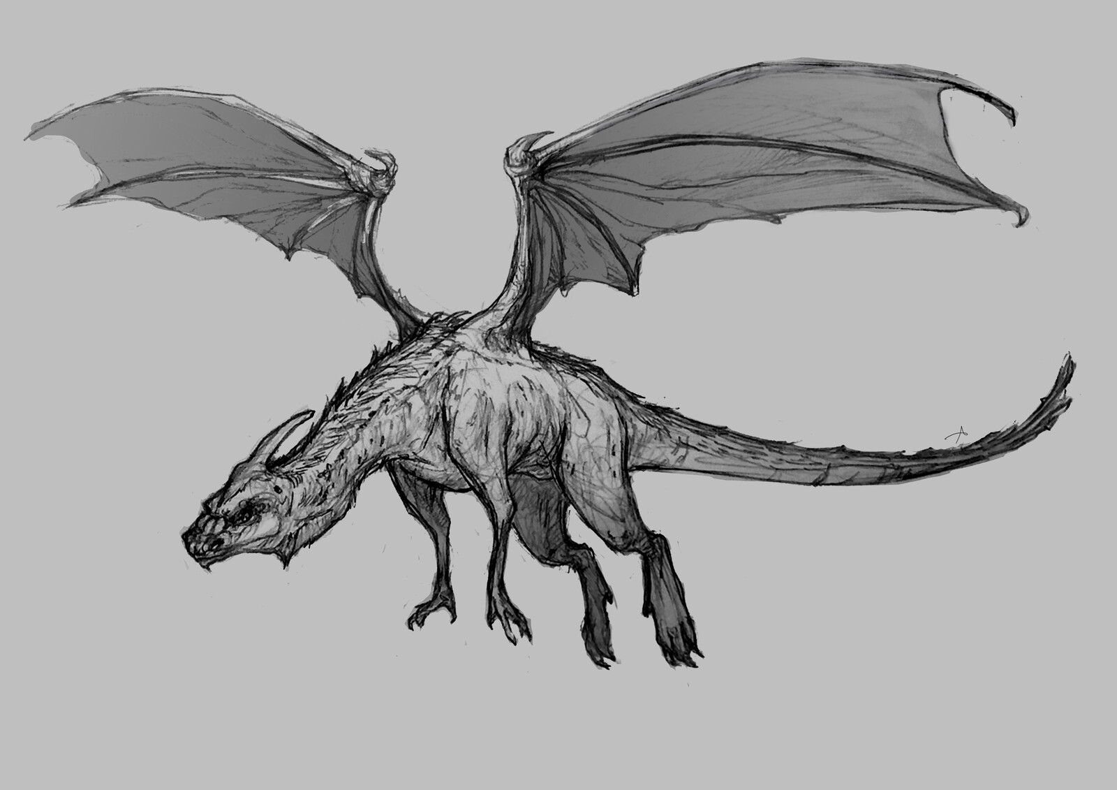 SMAUGUST - FLYING DRAGON CONCEPT