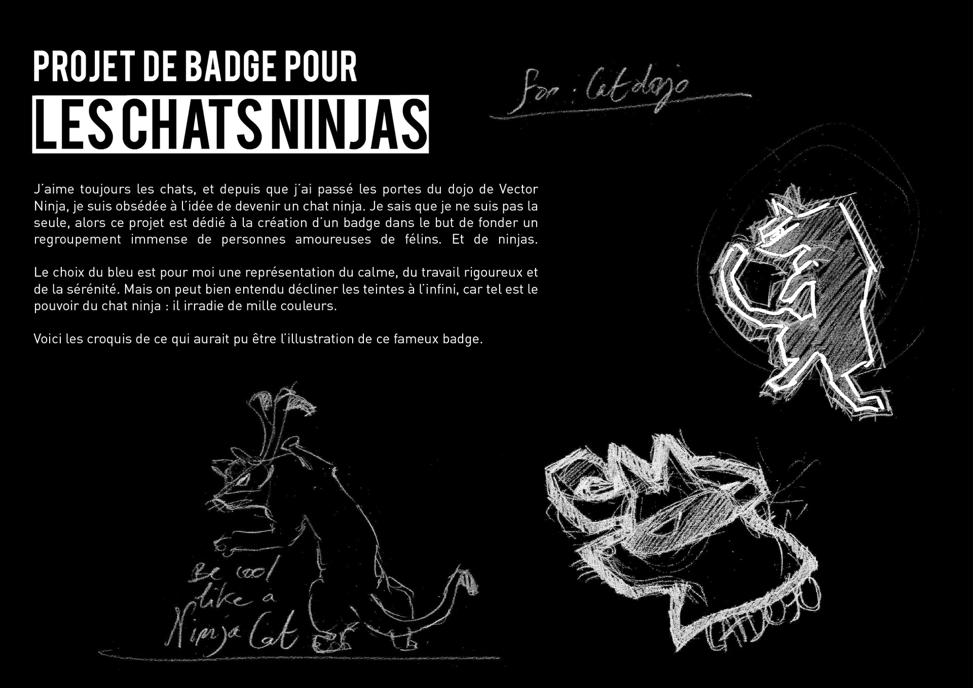 Agathe Mazur Ninja Cat Illustrator