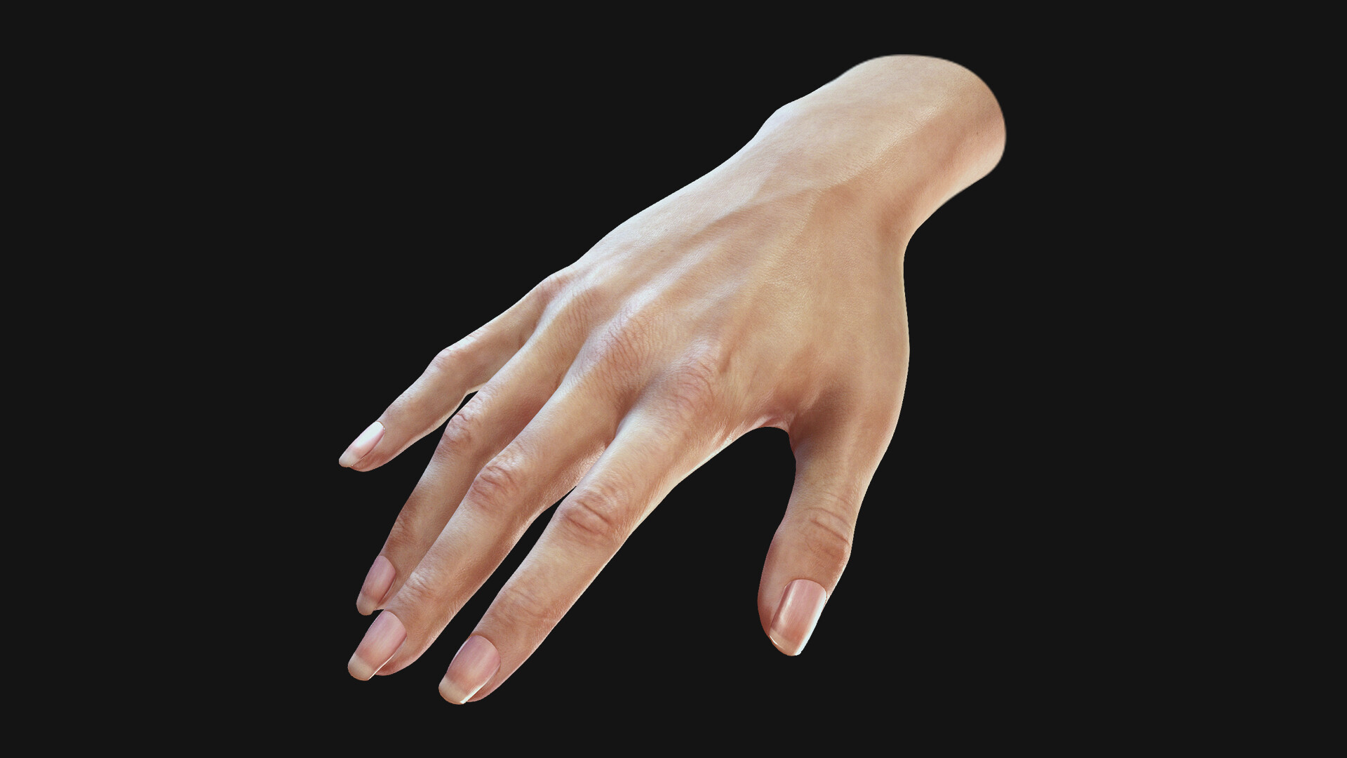 Artstation Digital Human Realistic Hands Reallusion Art