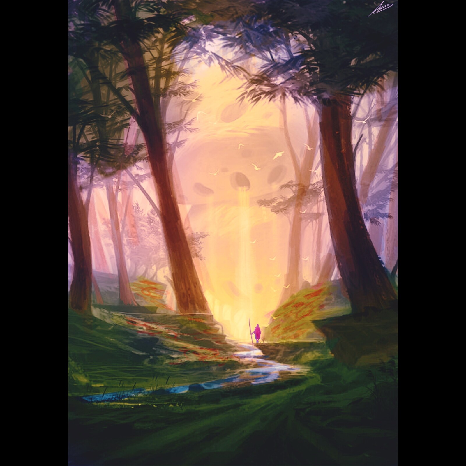 Light Exploring