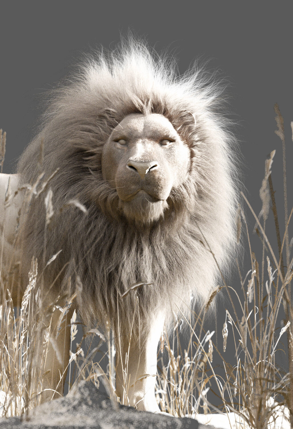 Lion Development