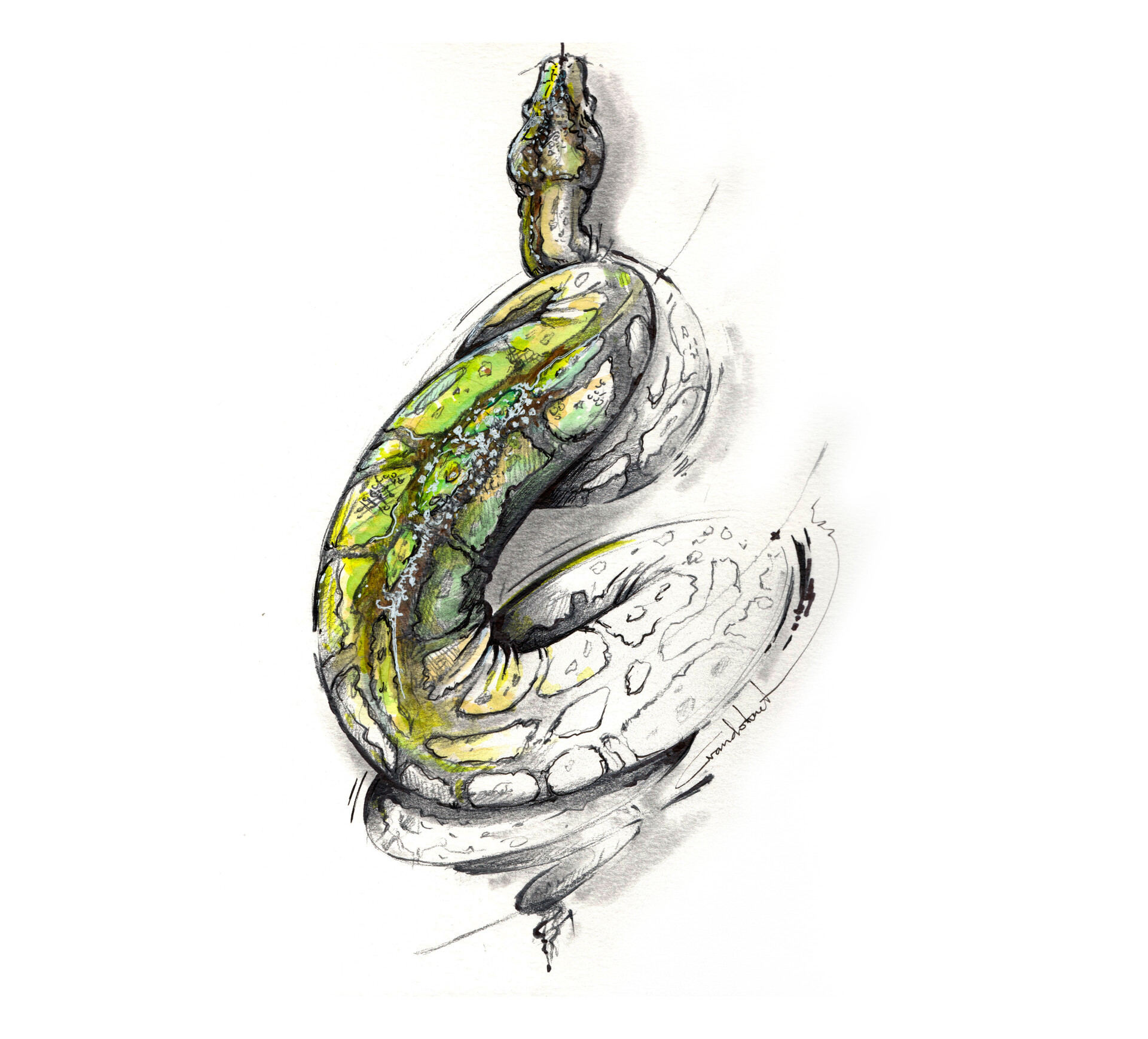 ArtStation - “python”