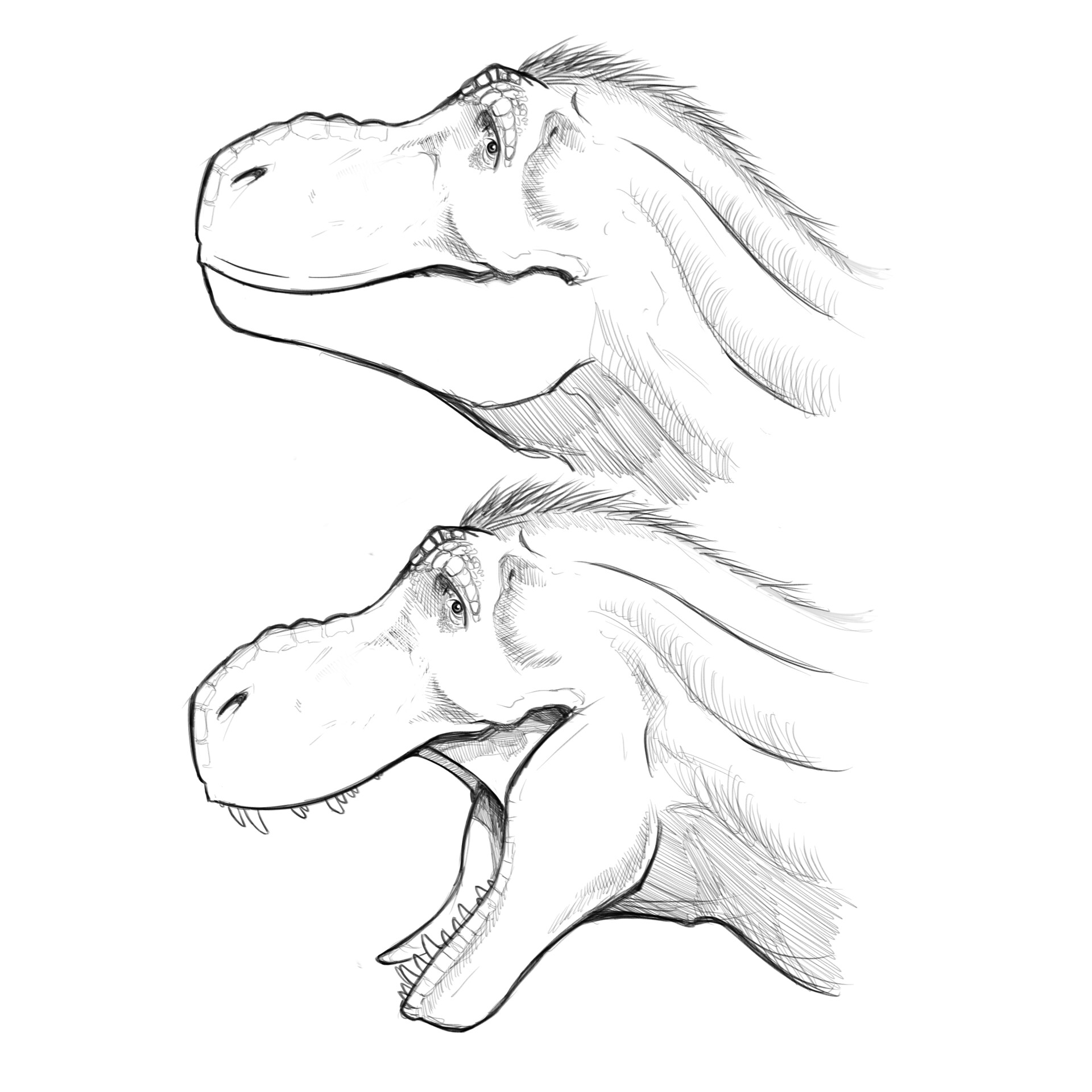 Tyrannosaurus rex head study animated by Demigod64 on DeviantArt