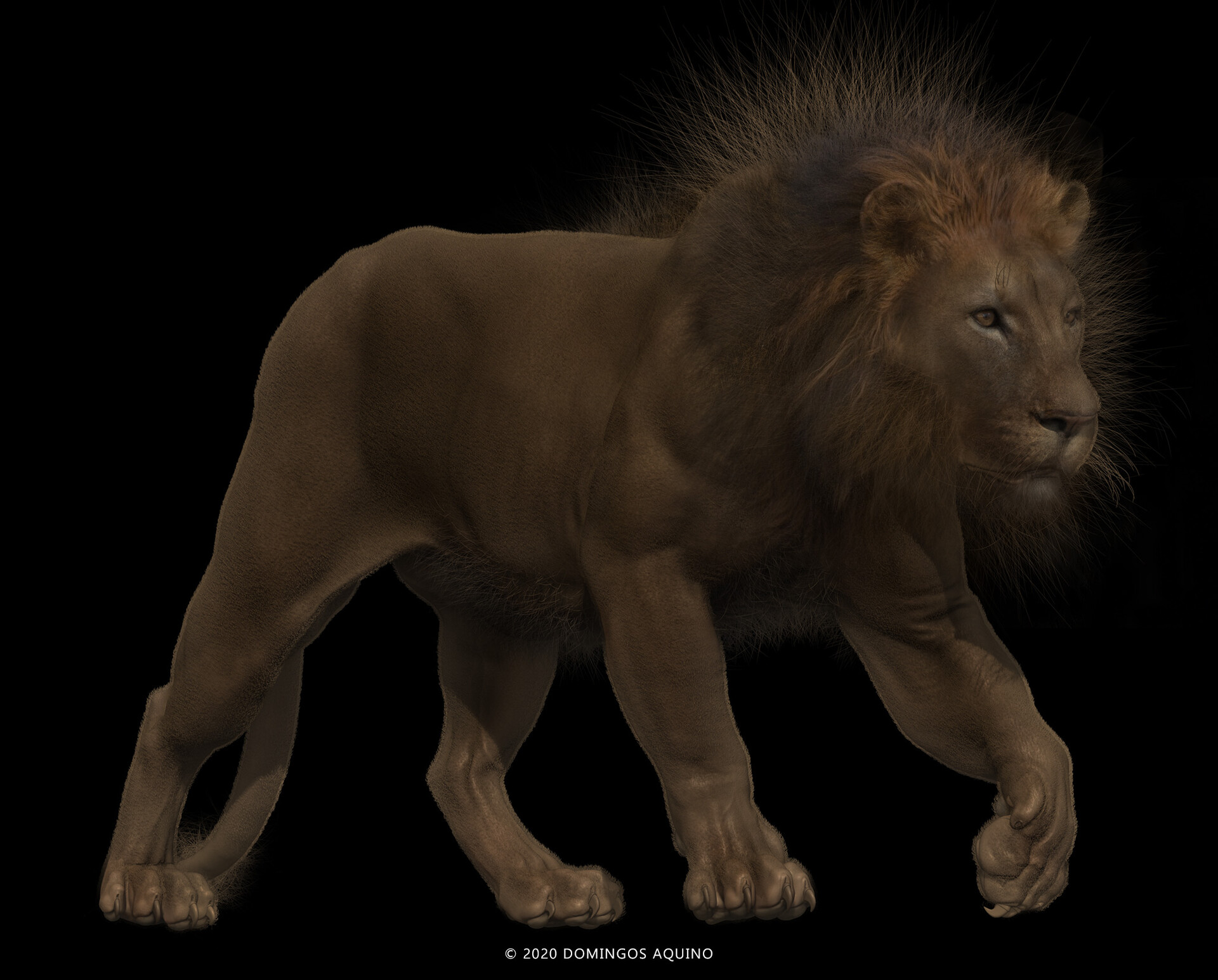 Artstation Lion Texture Fur Study Domingos Aquino Download this premium vector about leopard print. lion texture fur study domingos aquino