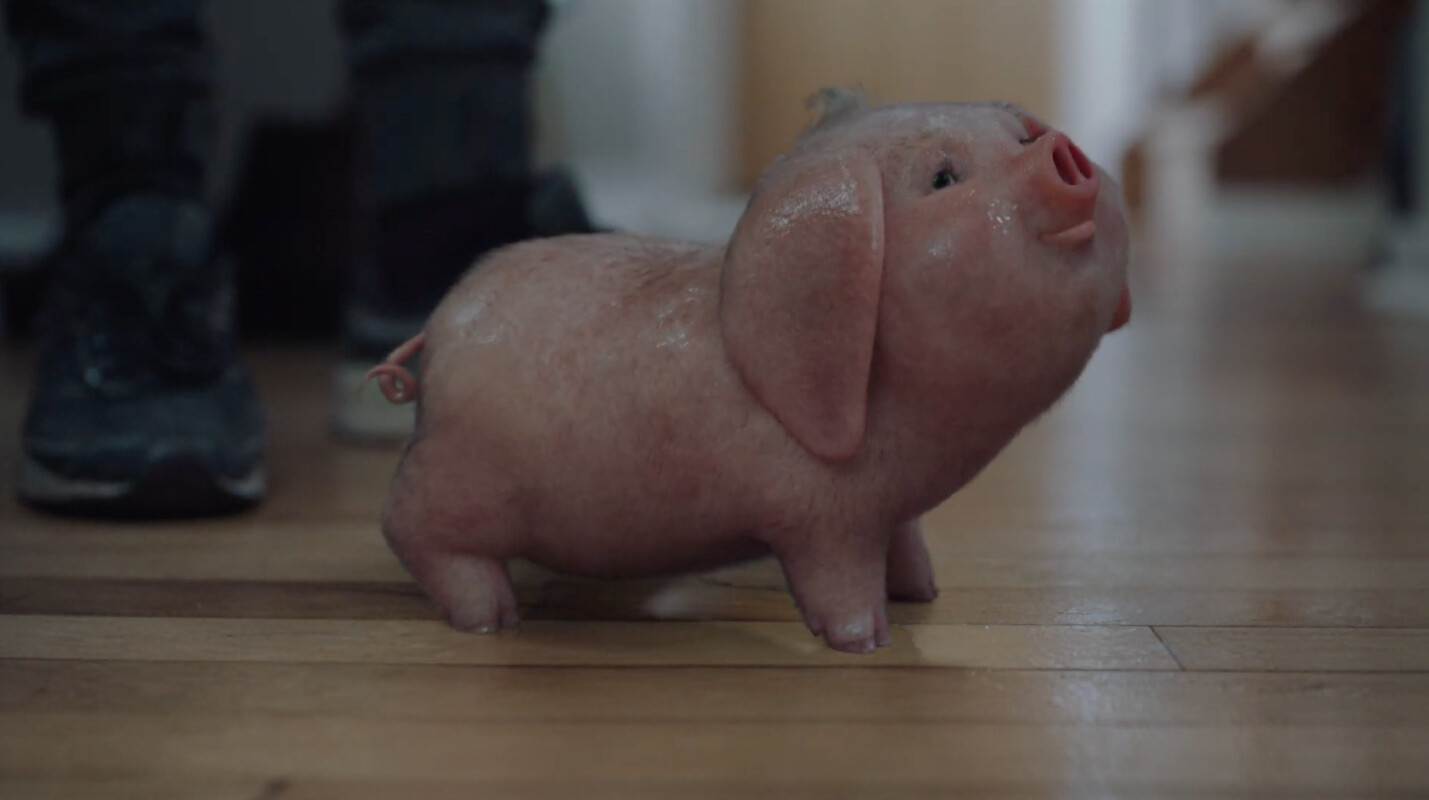 Santander pig toy cheap