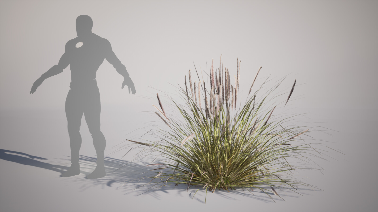 Muhly Grass