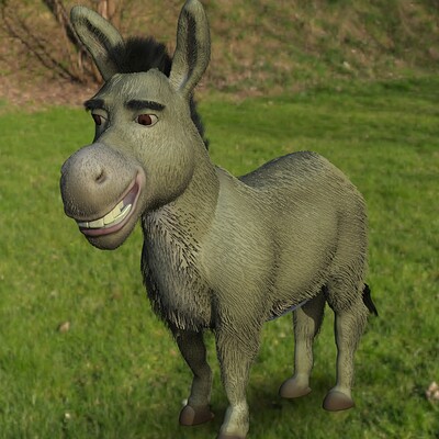 Gil andre donkey2 177