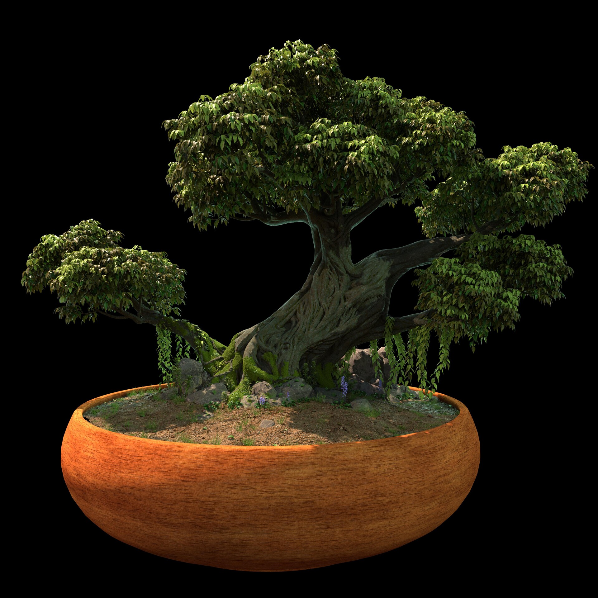 bonzai3d review