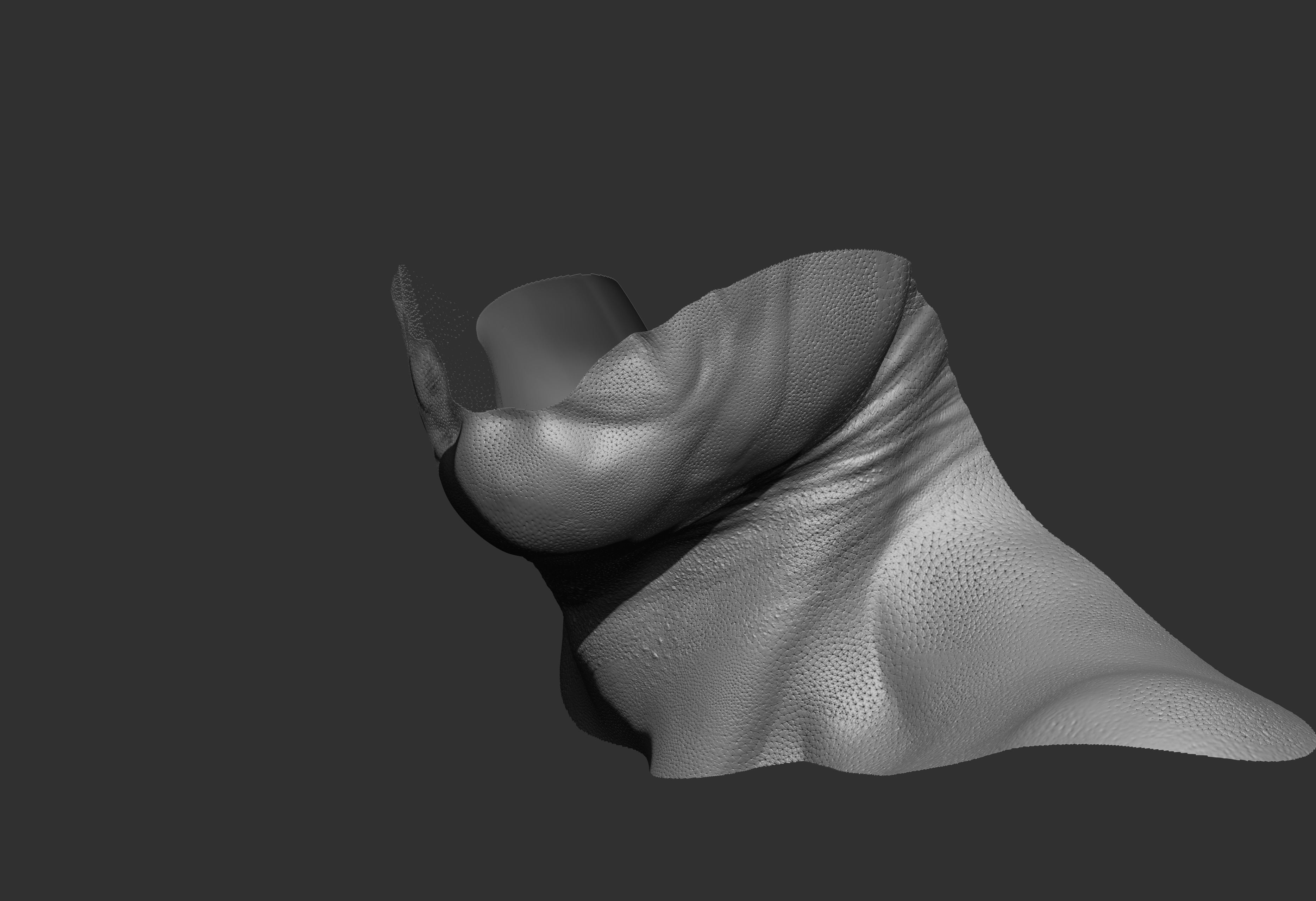neck
