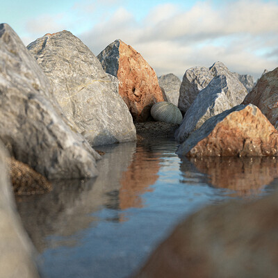 Nature composition 1