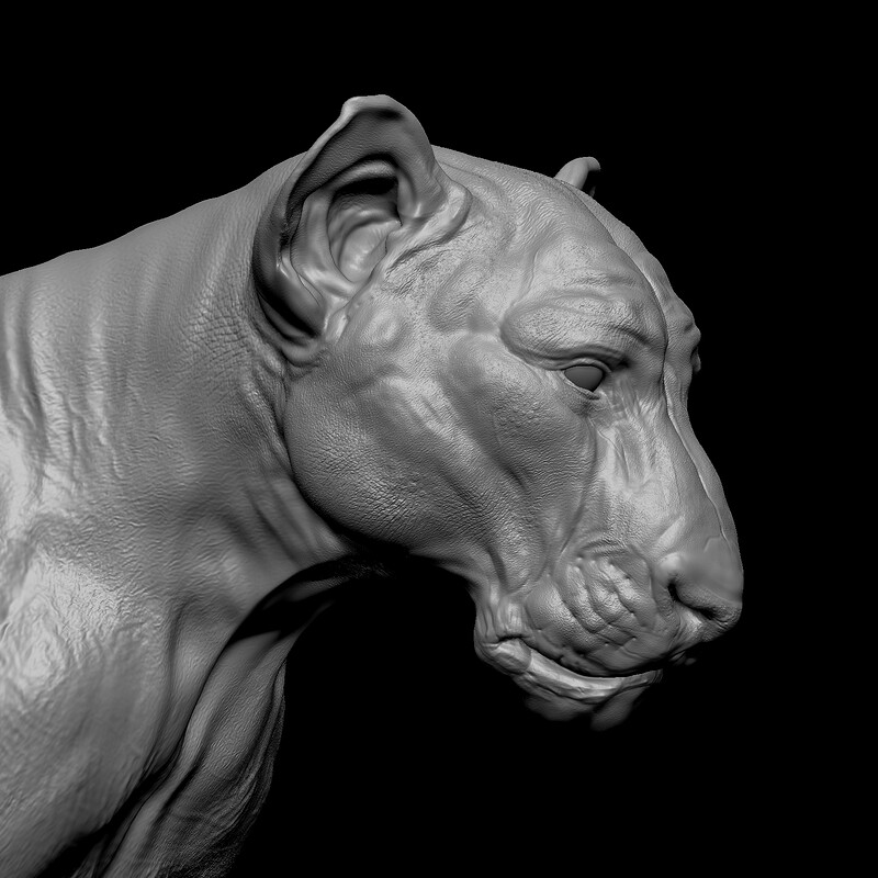 Lion