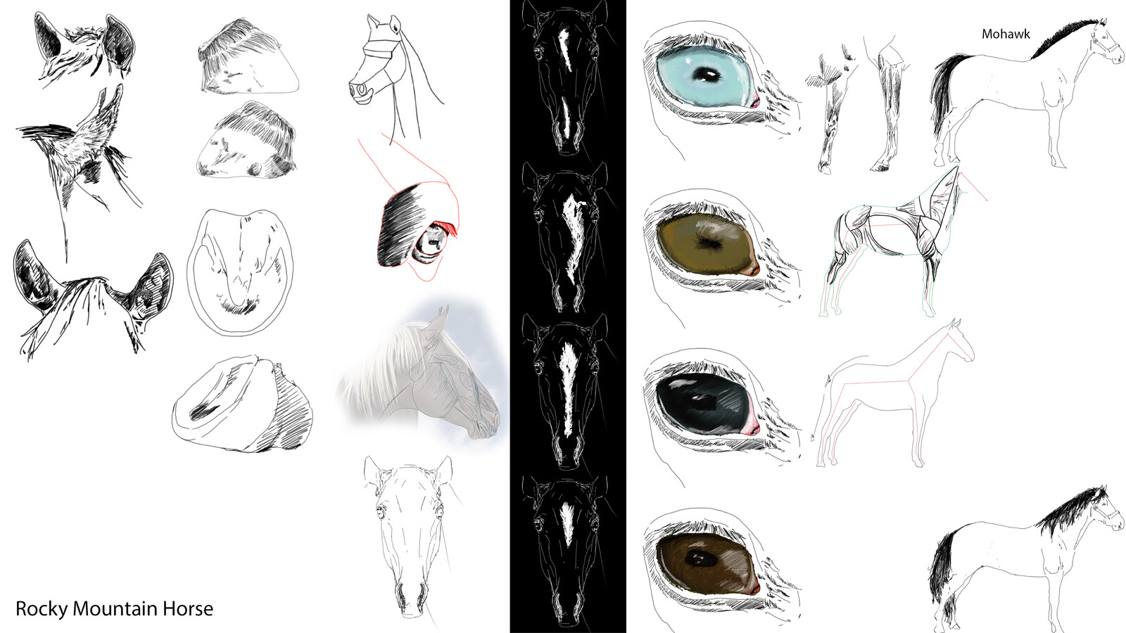 Shape research