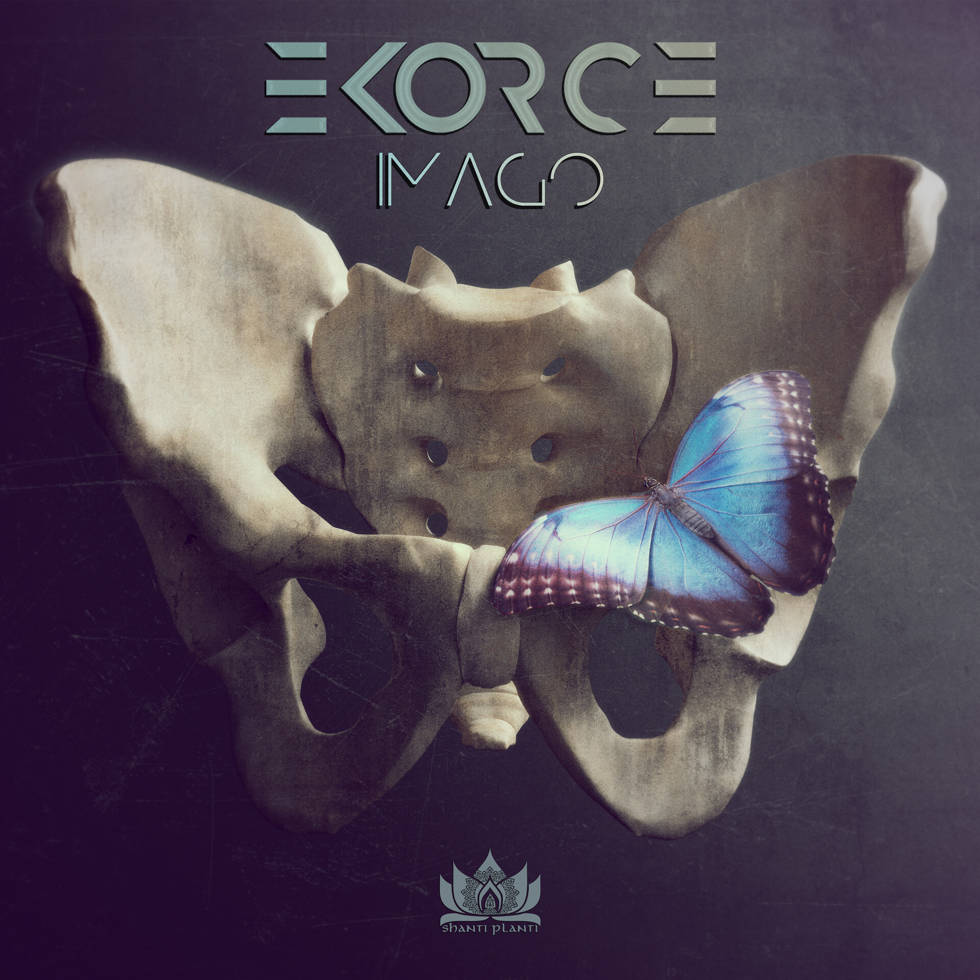 Cover art for music EP "Imago" by Ekore