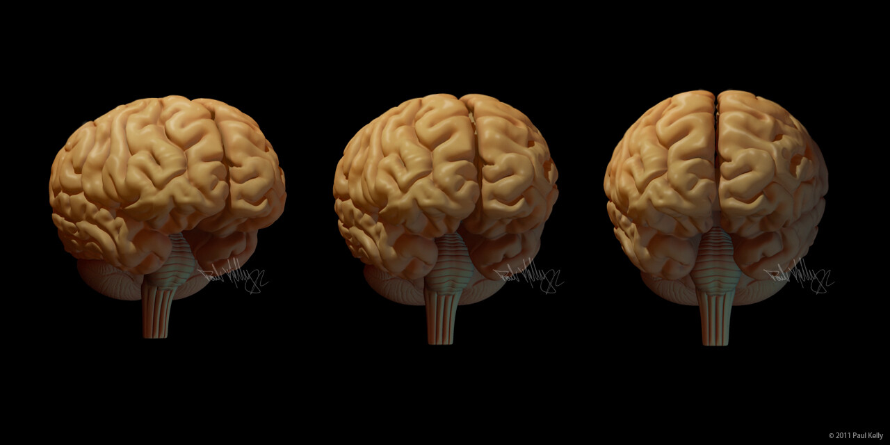 paul kelly the brain