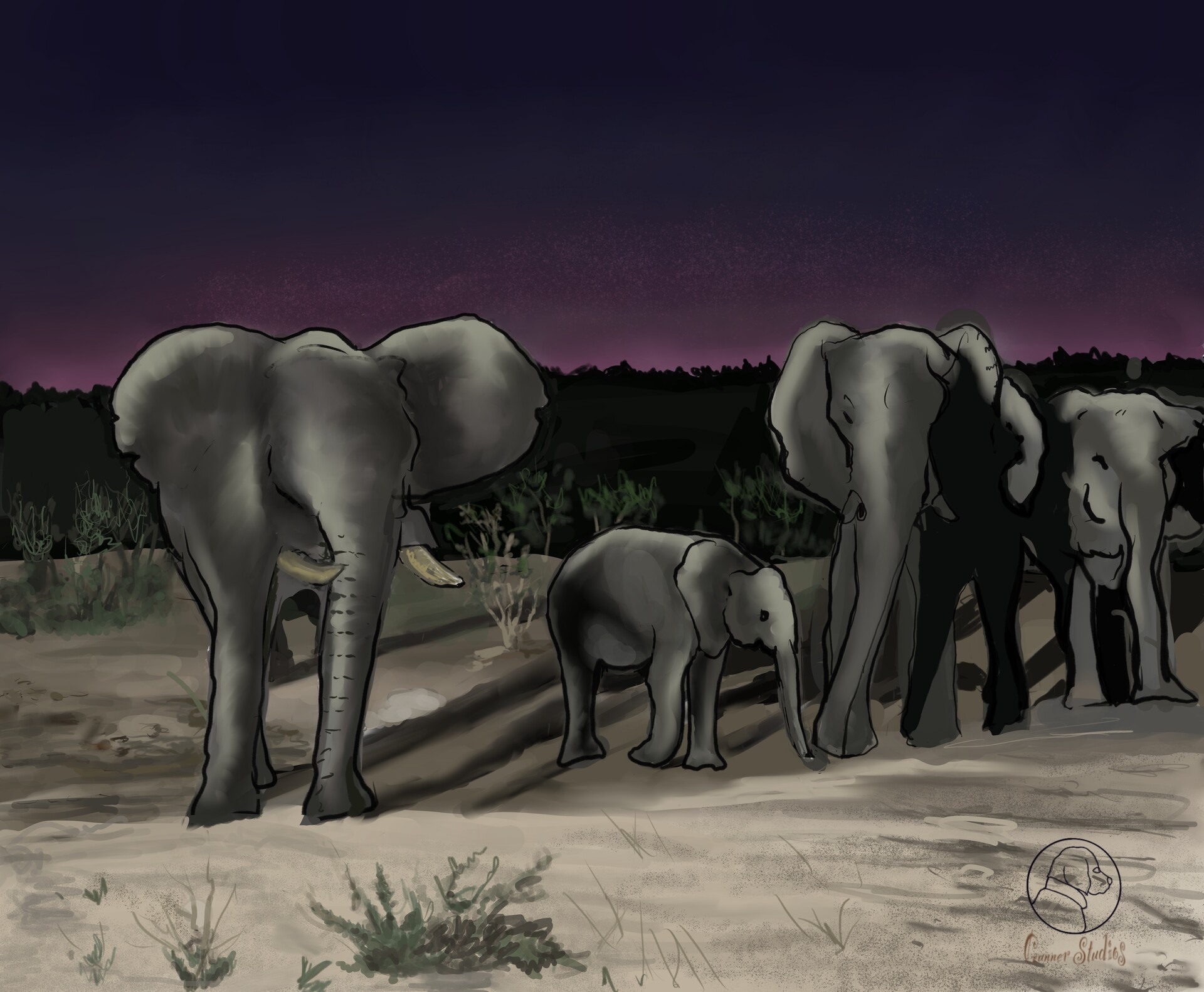 Joe Adiletta Watering hole in Iganyana Camp