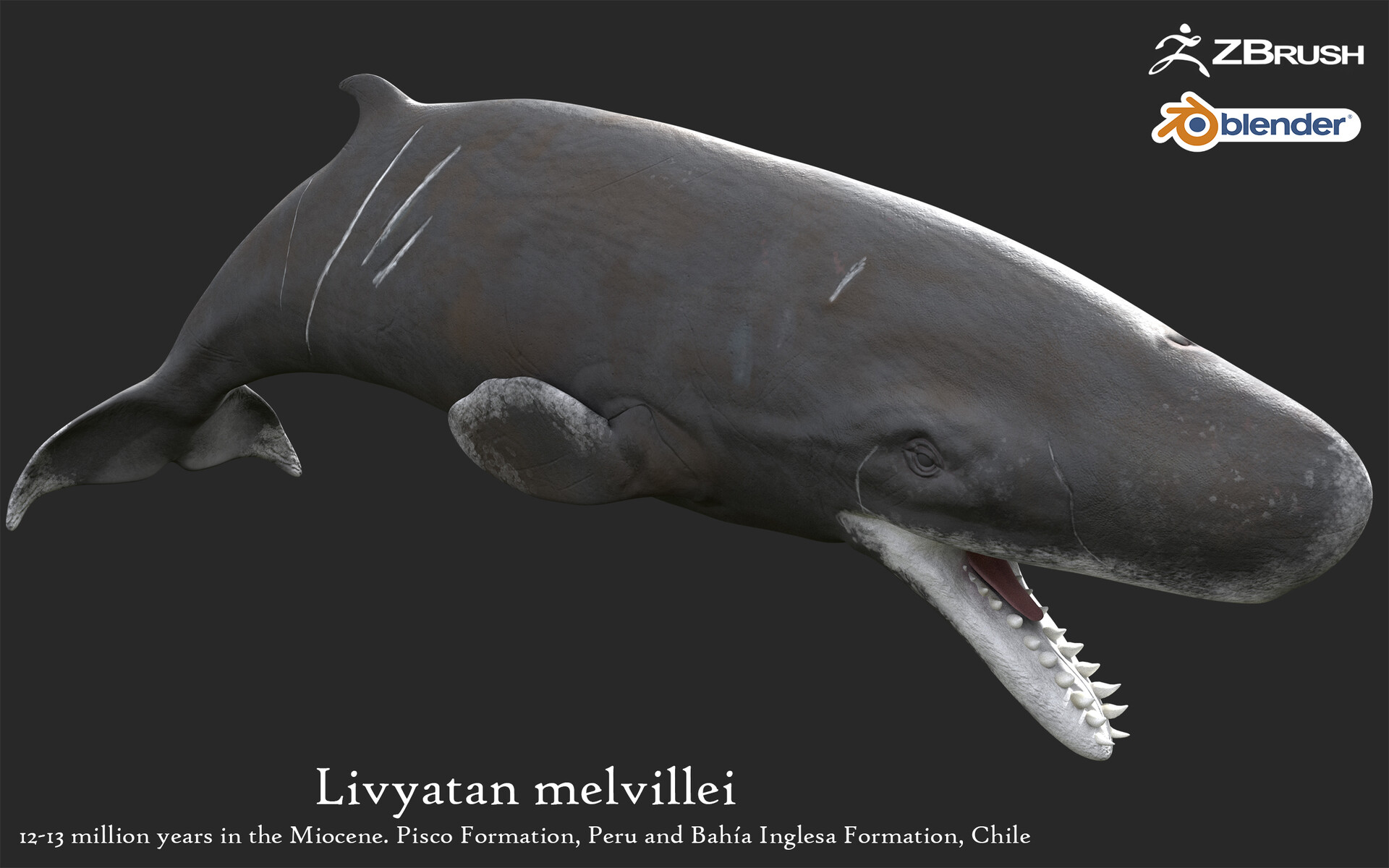 Christopher Chávez - Livyatan melvillei
