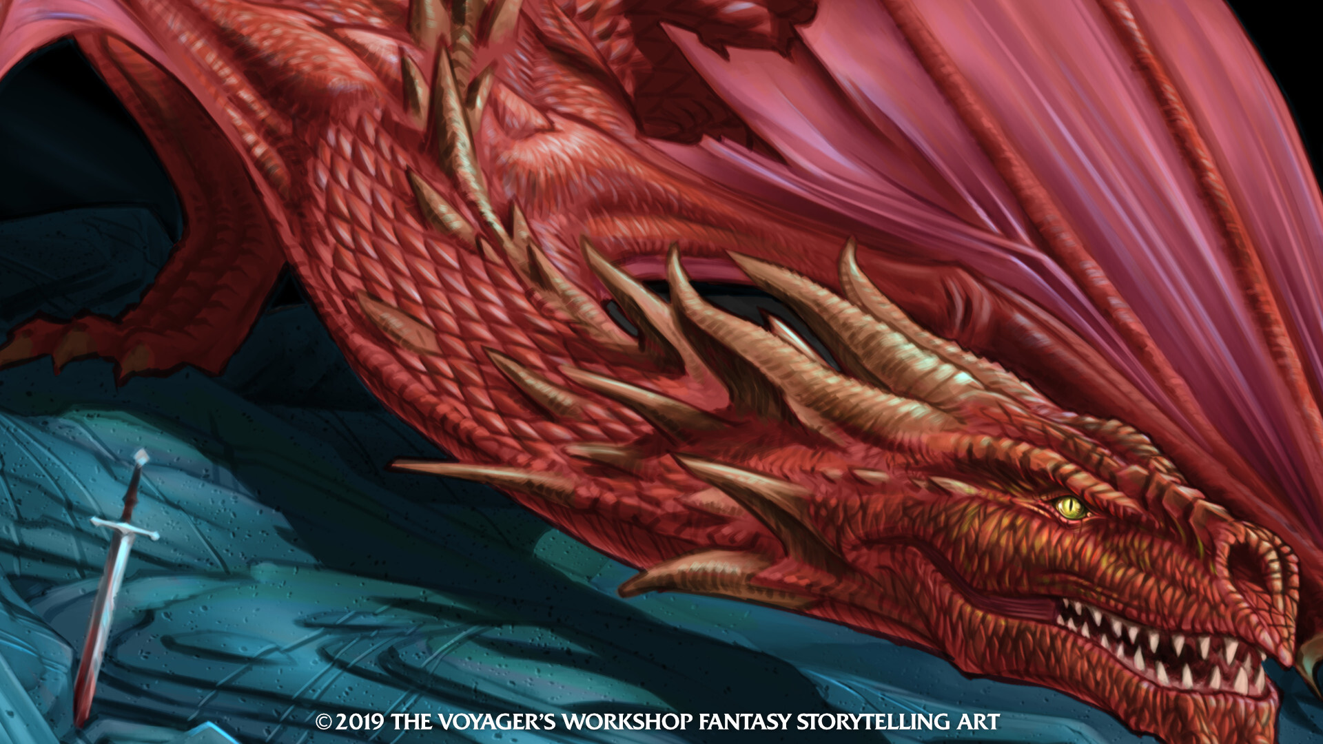 Dragon goedkoop 2024