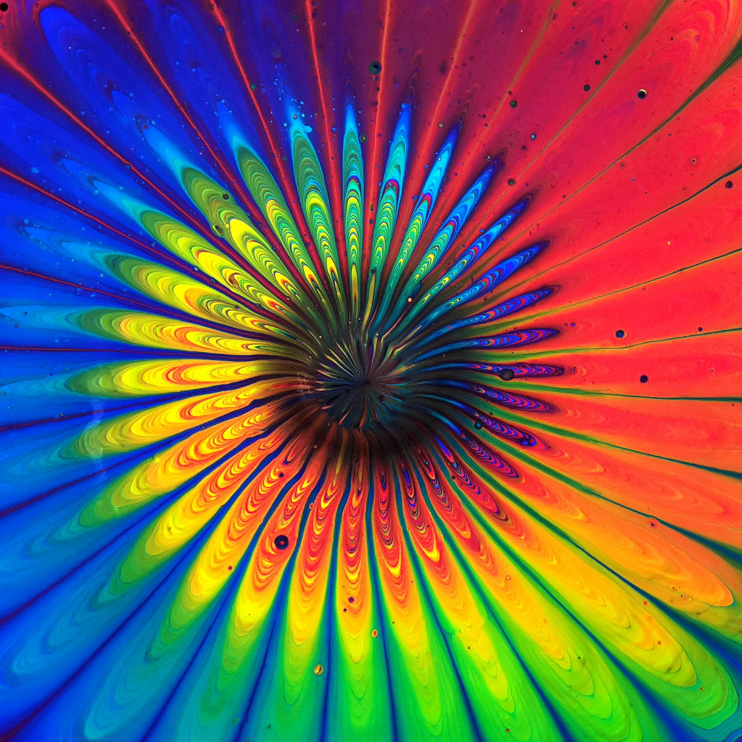 Artstation Strainer Split Cup Pour Rainbow Week Day 3 Acrylic Pour Painting Fiona Art