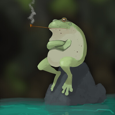 frog on the rock