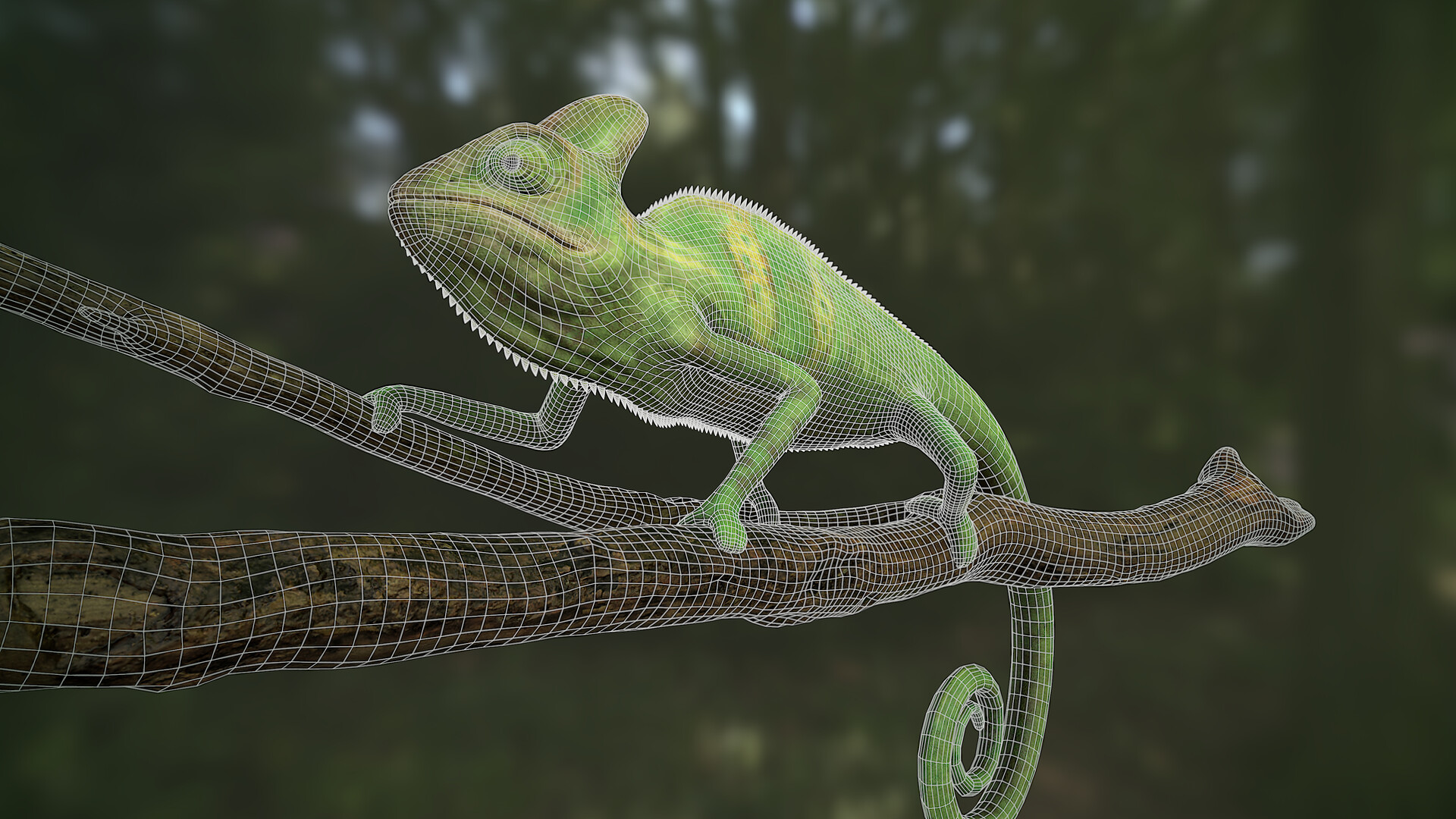 ArtStation - chameleon