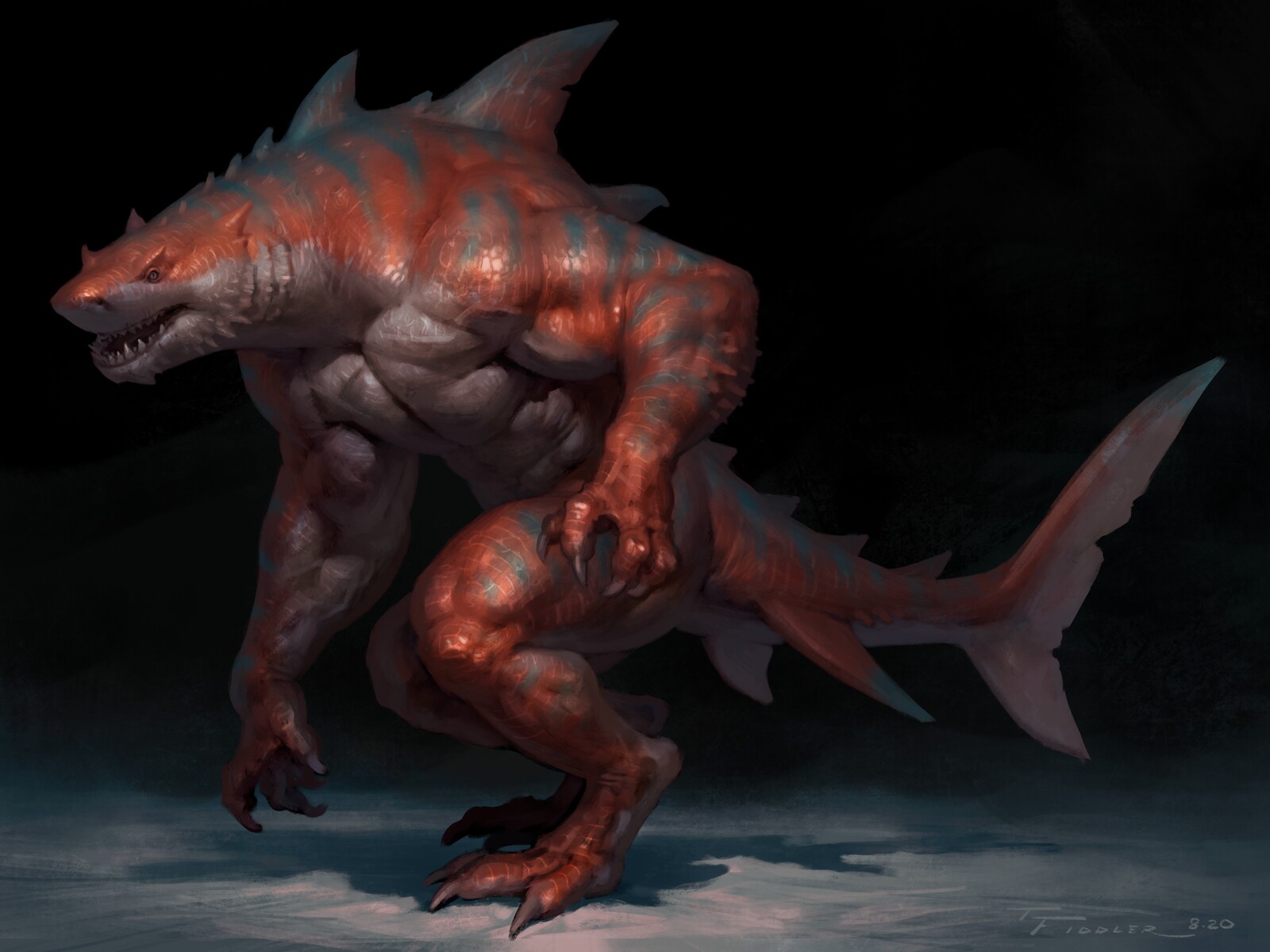 Shark
