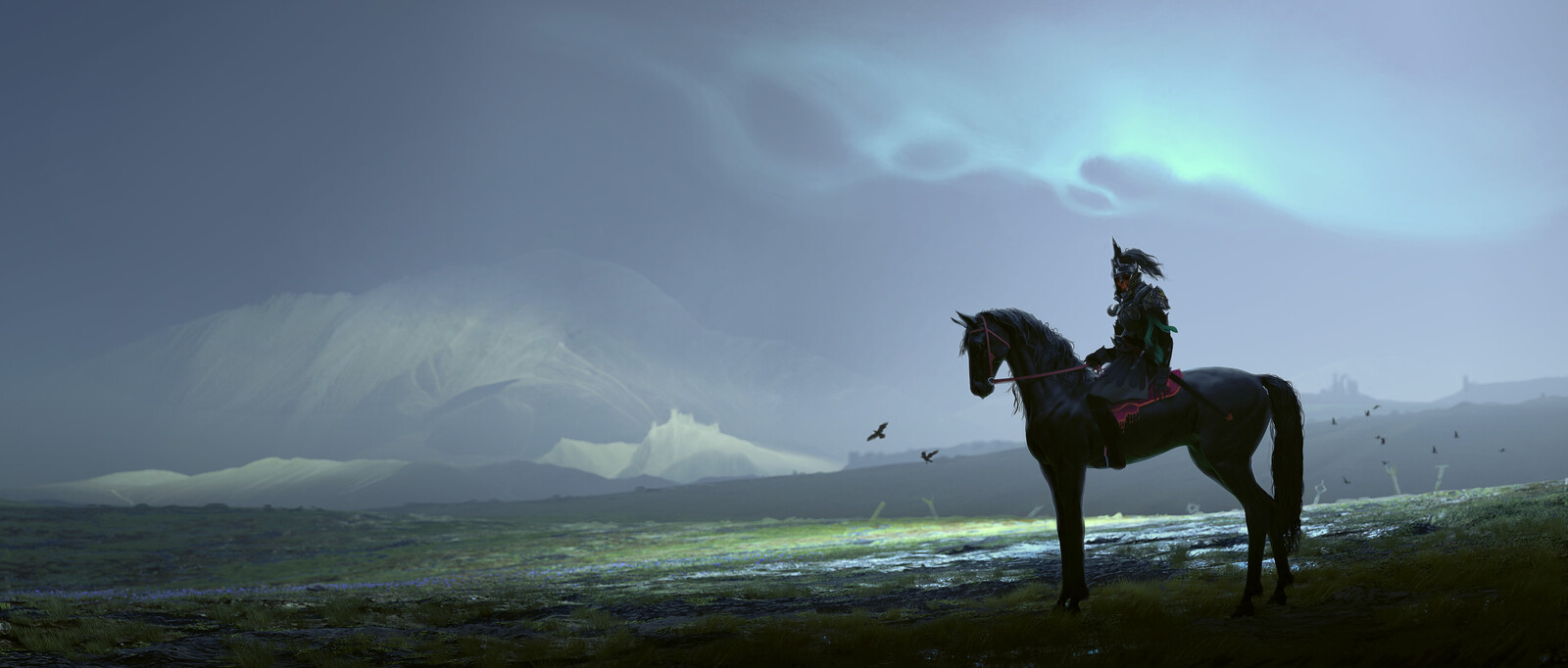 Rider (Wide)
