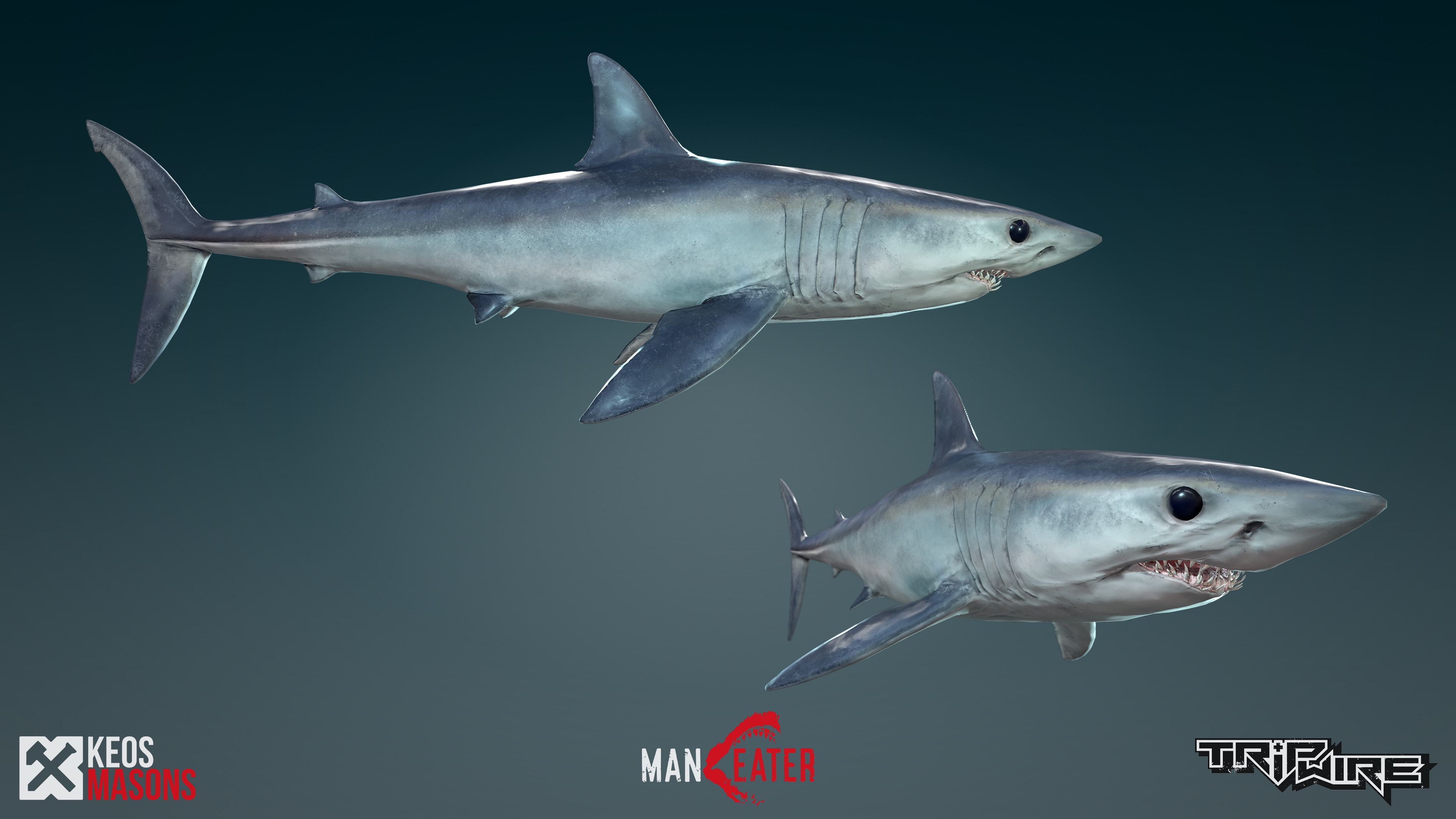 Keos Masons Maneater Mako Shark Keos Masons Maneater Mako Shark