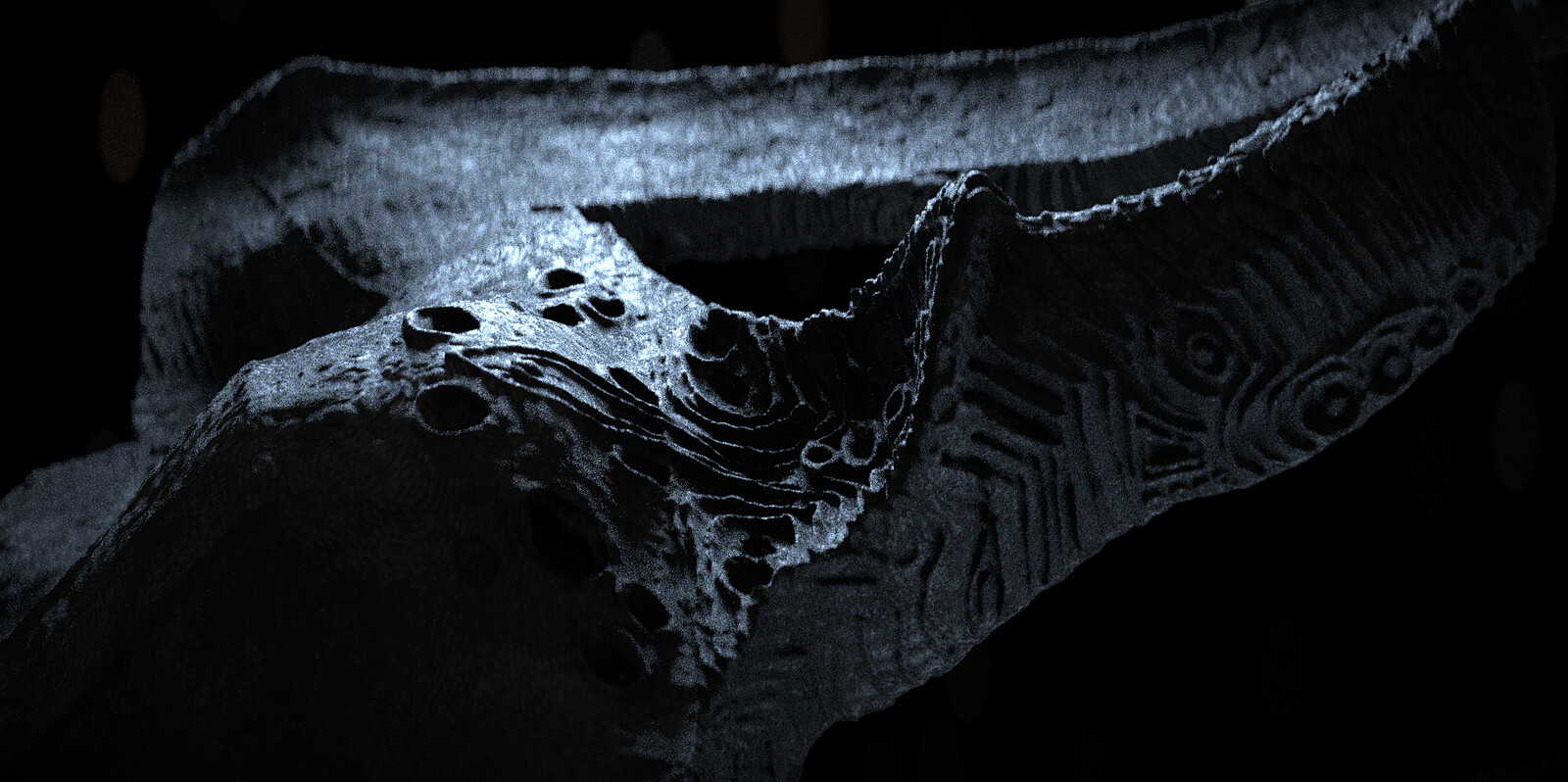 Bottom detail 