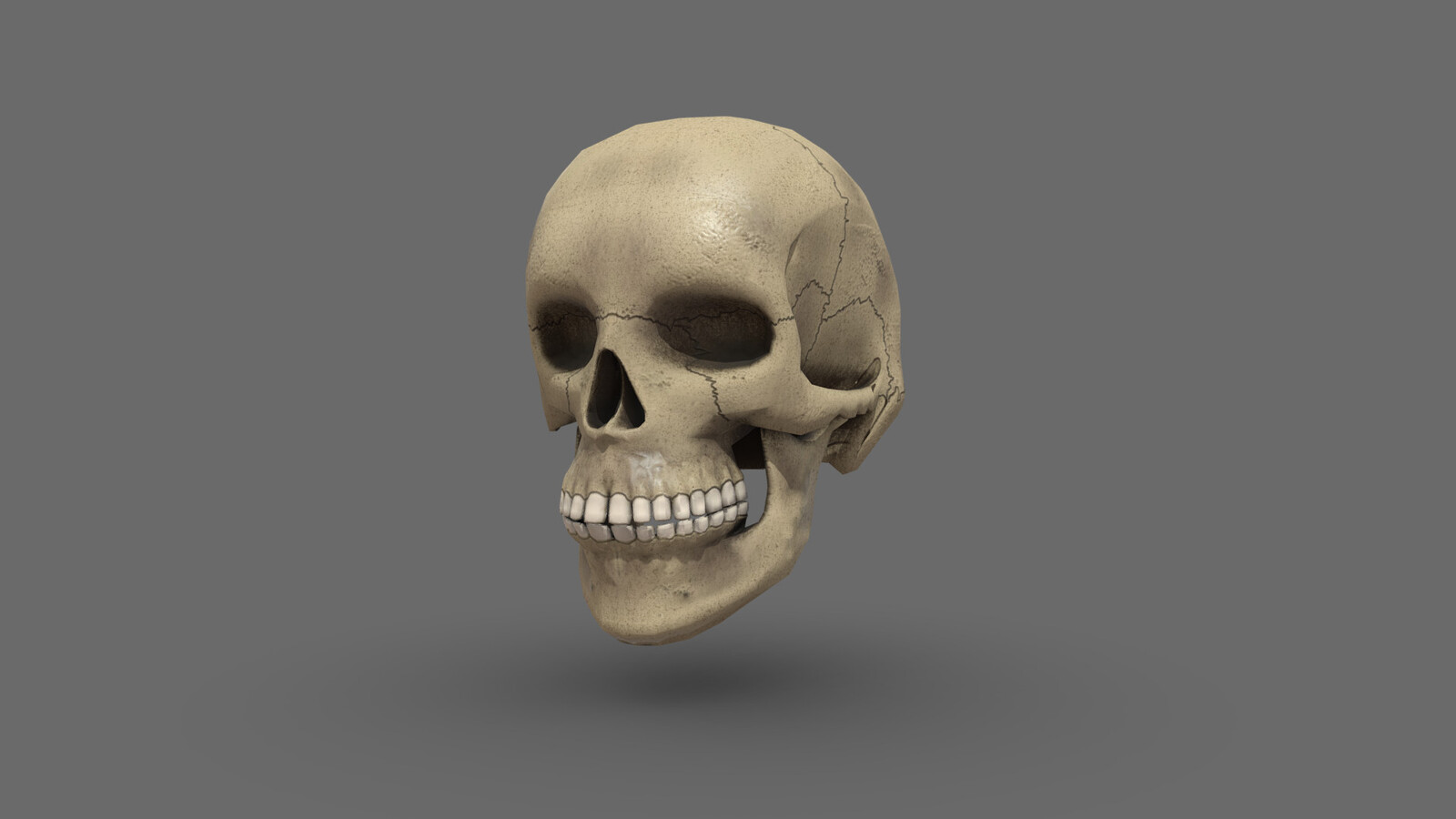 rendered on sketchfab