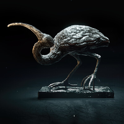 Ibis Sculpt