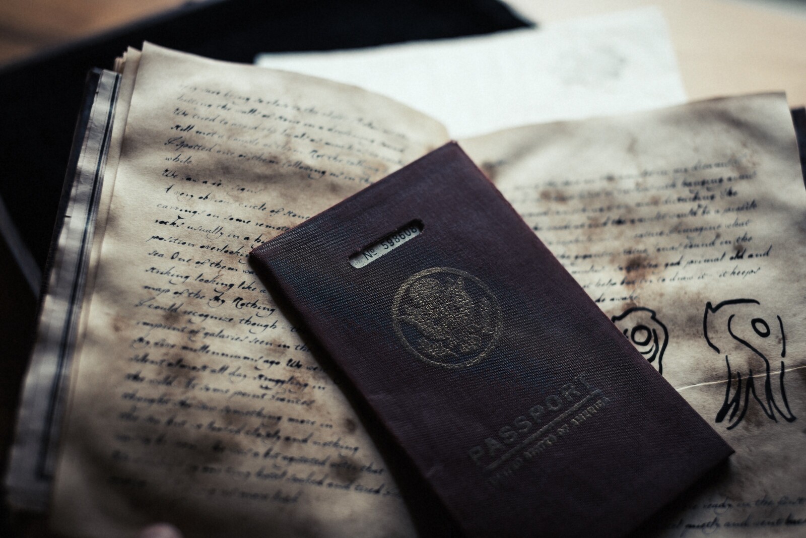 A distressed passport. Photo by Cian McKenna