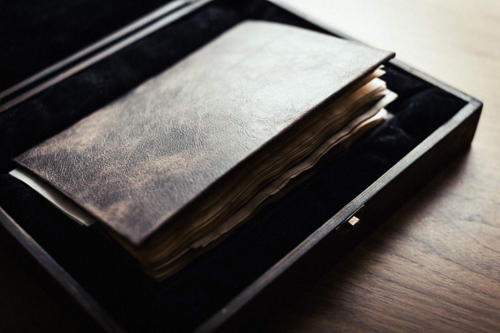 The journal. Photo by Cian McKenna