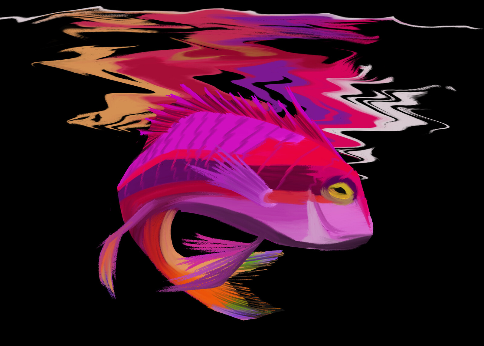 Rainbow Fish Study 2020