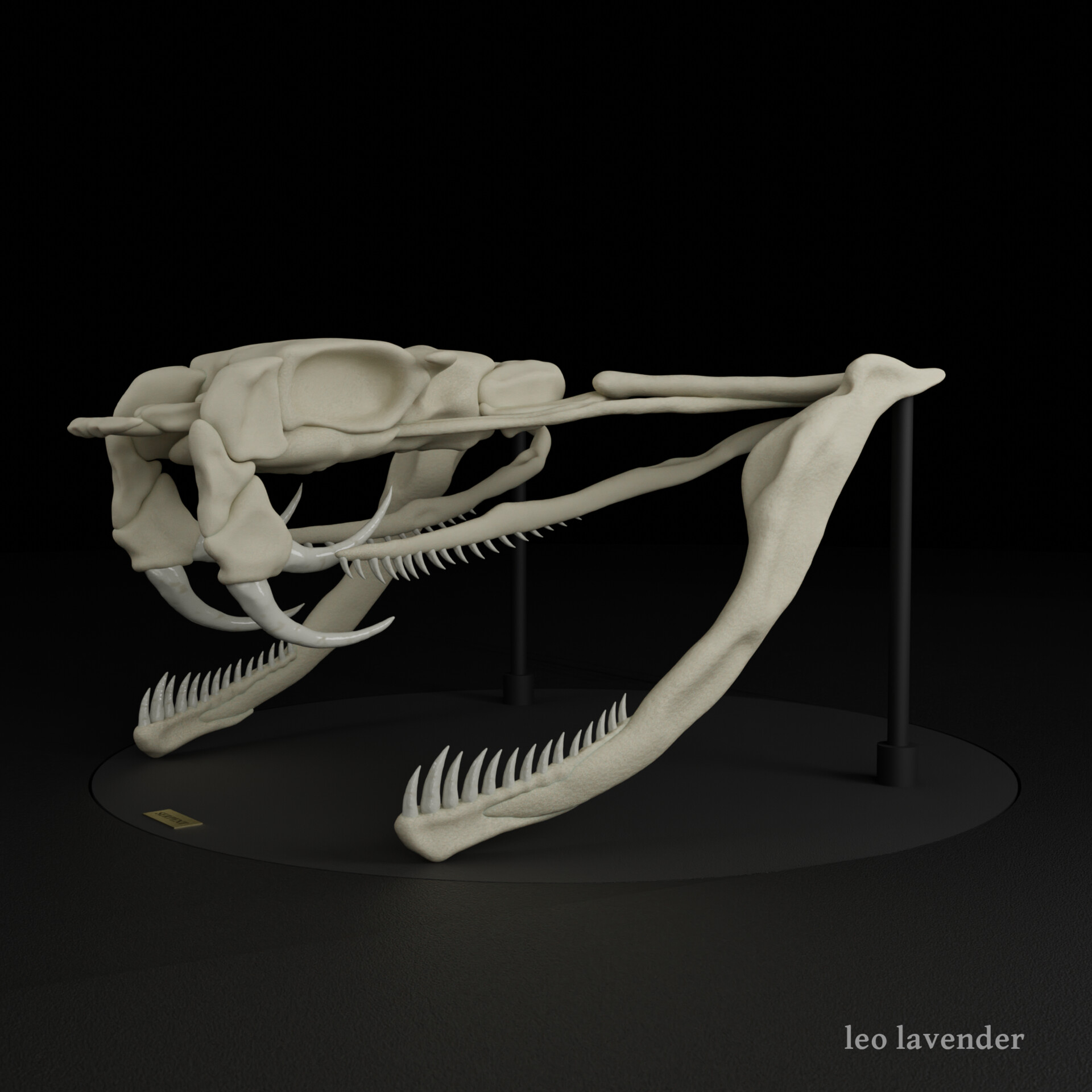 ArtStation - 3D Google Snake (without the snake)