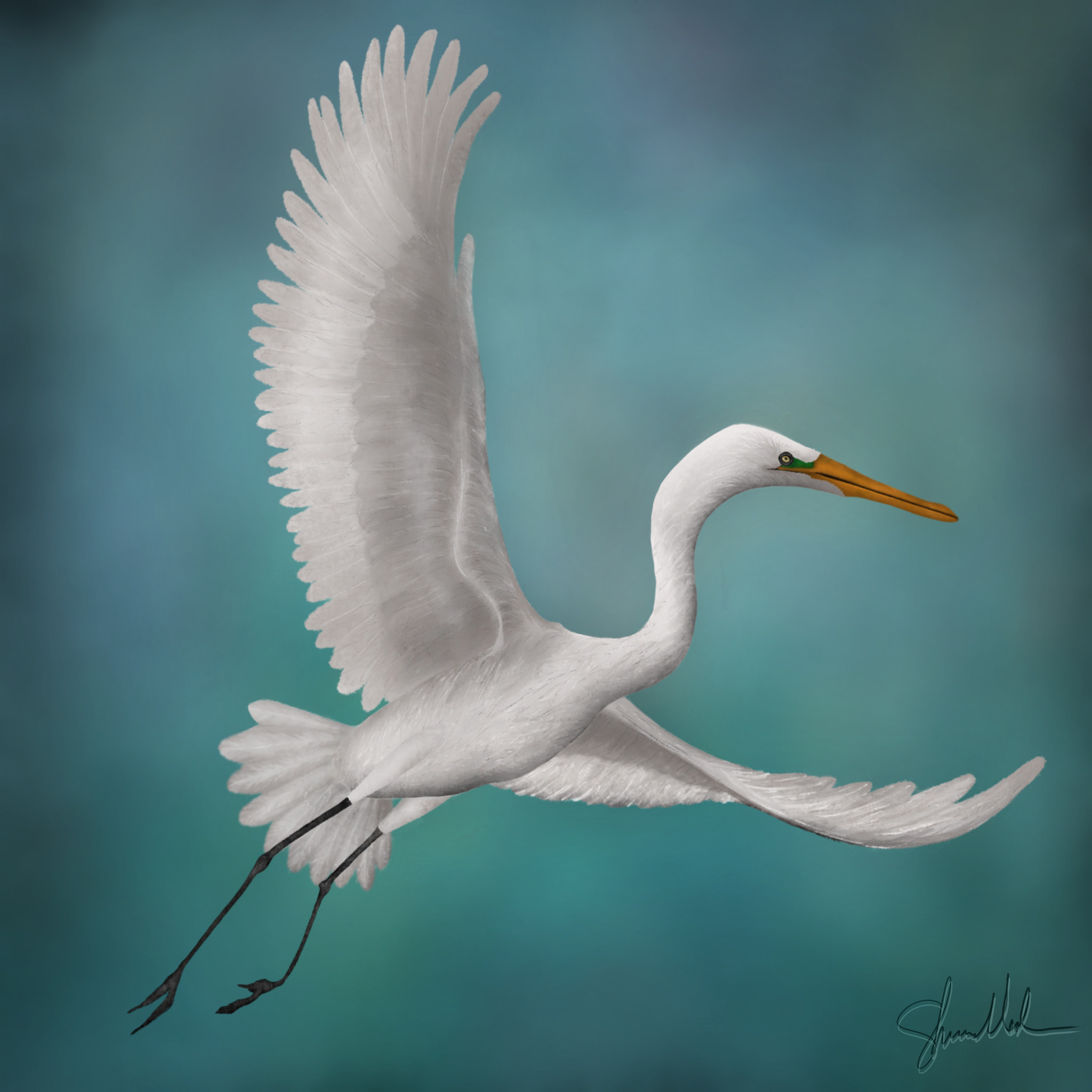 White Egret Still