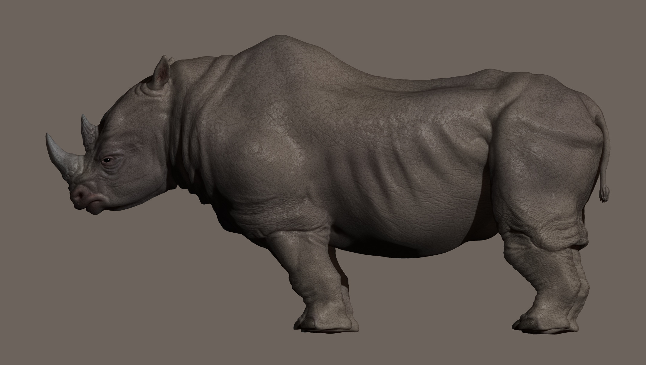 Side view of the High poly model.