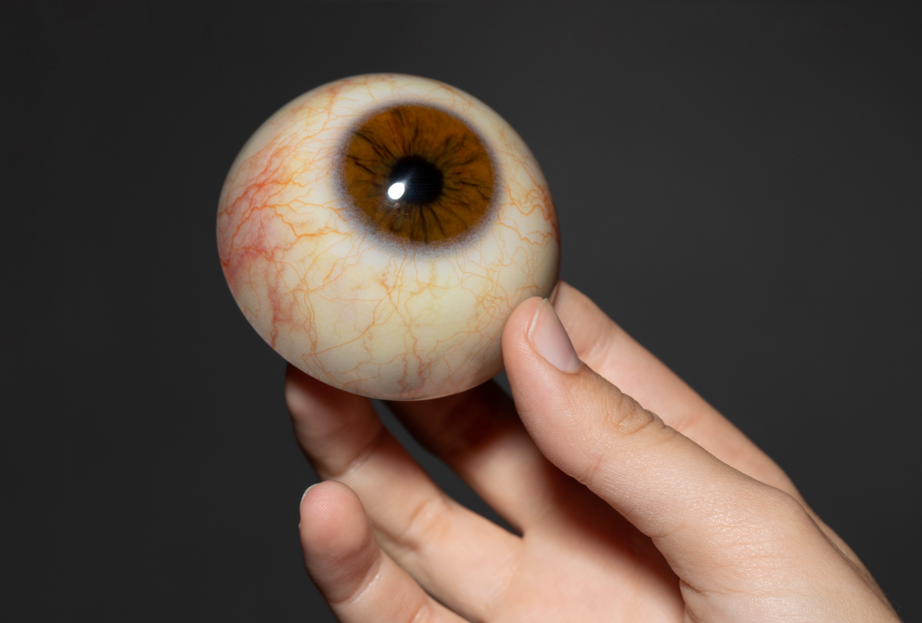 An example of a voxel printed eye at 2.4:1 scale.