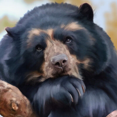 Irem erbilir irem erbilir bear