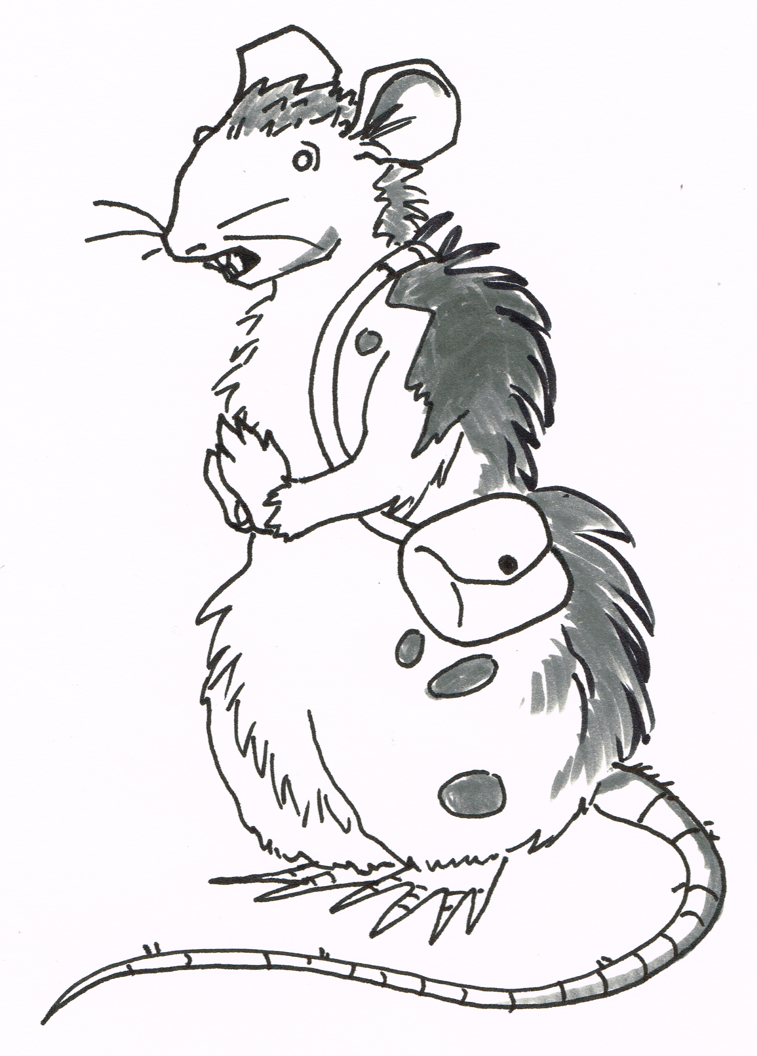 Day 6: Rodent