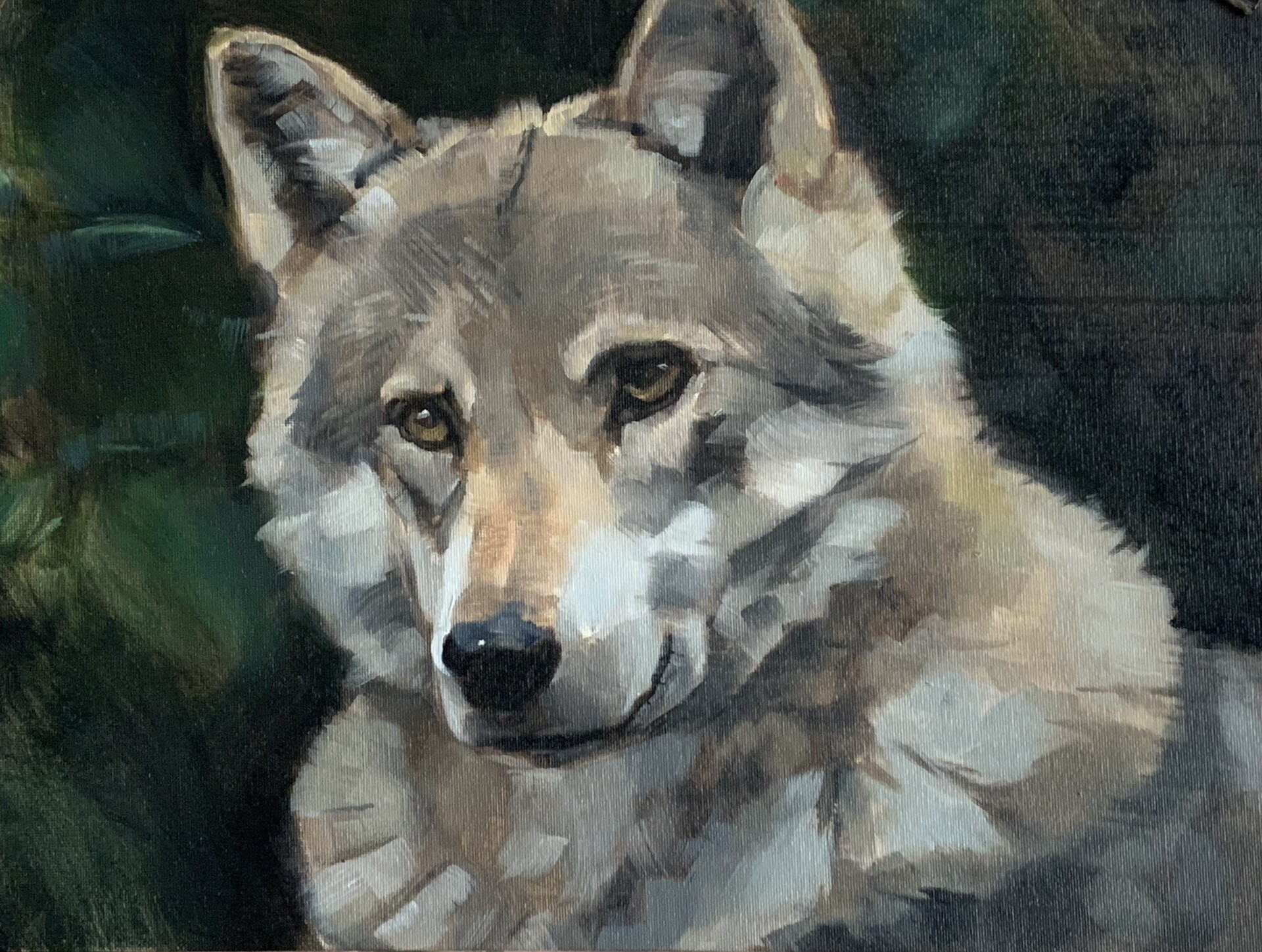 Artstation Wolf Jason Brown