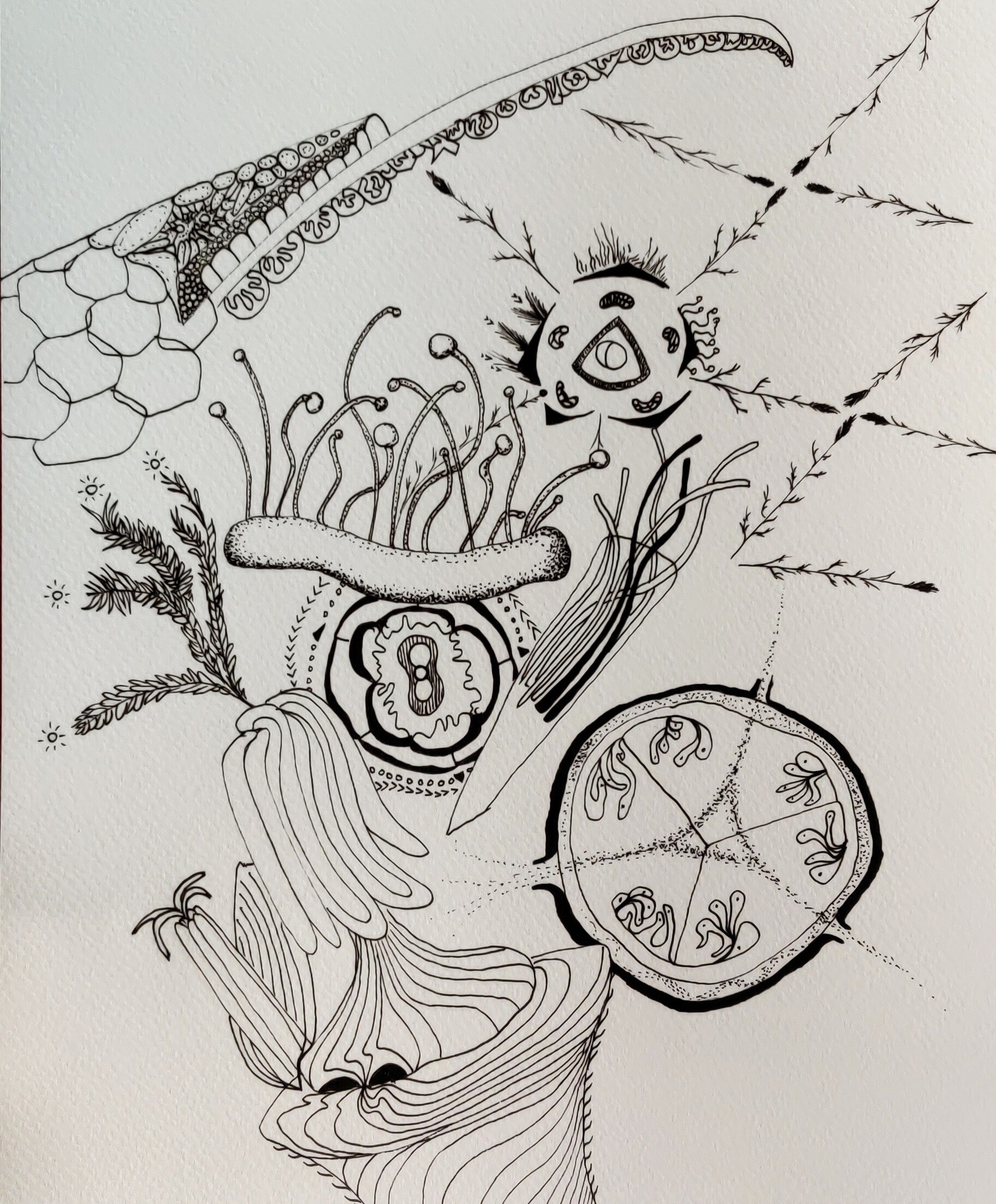 ArtStation - Botanic doodles #1