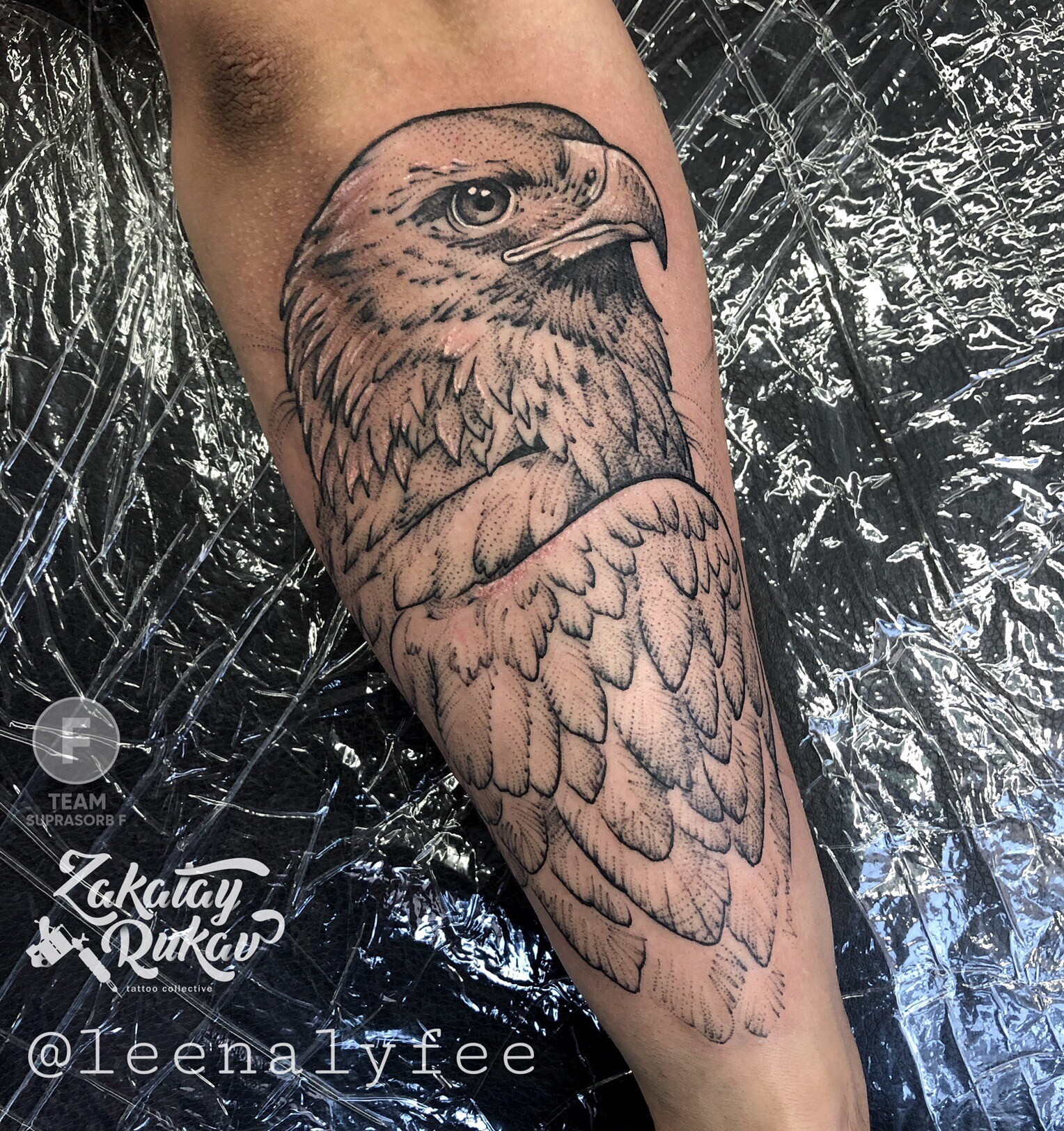 Verma Tattoo  on Instagram 3D lion with eagle tattoo is done by  vermatattoo manojverma001 M8727874955 Verma tattoo Chunni kalan   Sirhind to Chandigarh