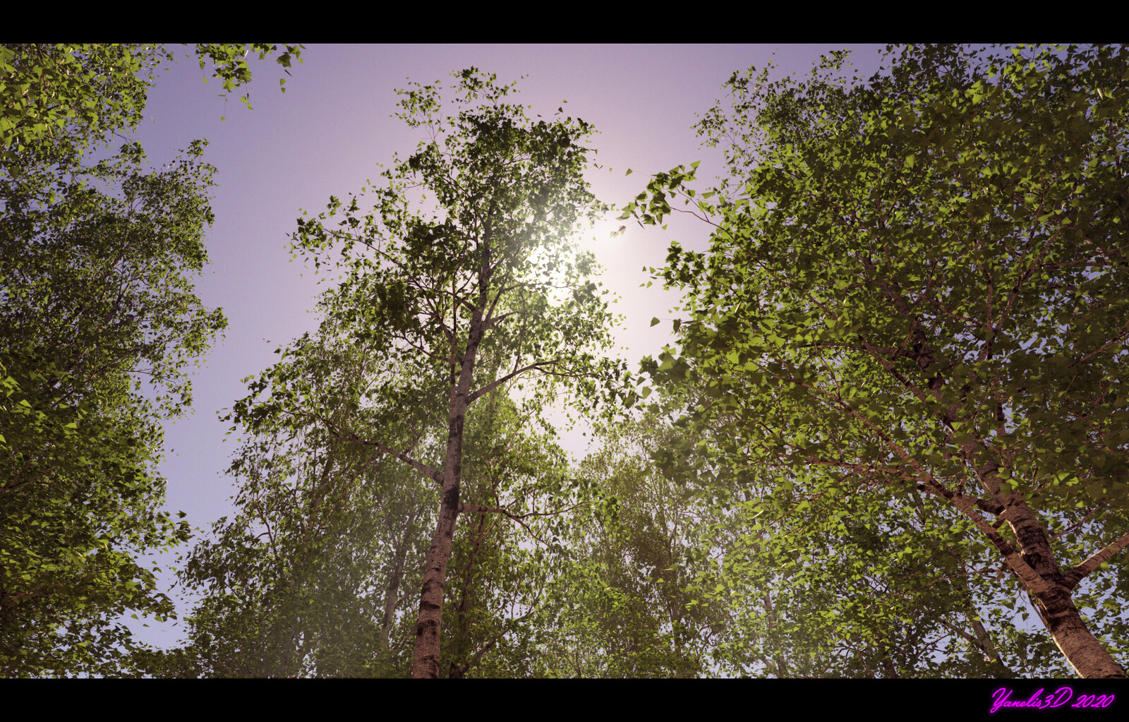 Inspired on Minecraft's Birch forest, wanted to recreate one with a realistic touch ;)