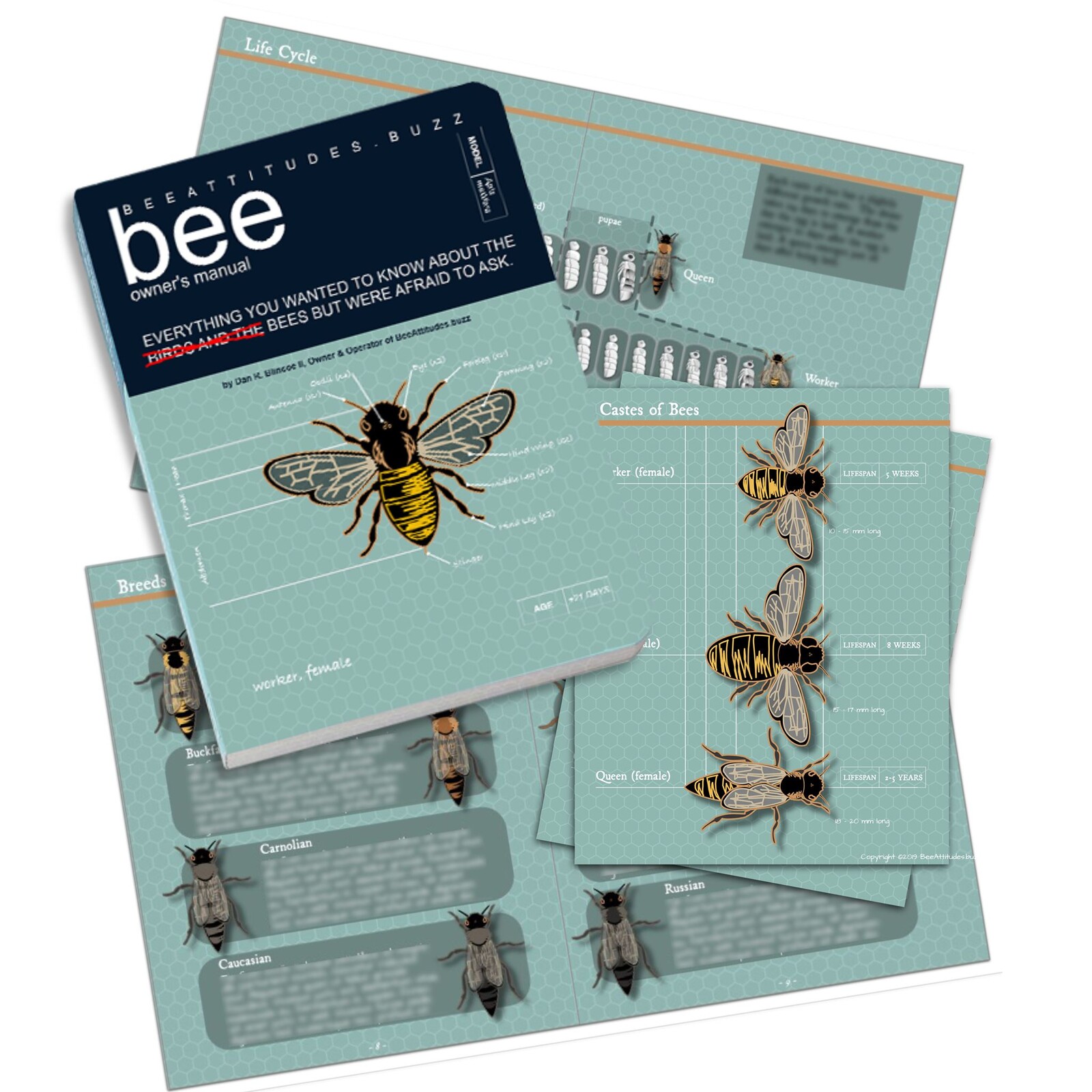 Illustrations for BeeAttitudes.buzz Beekeeping Manual