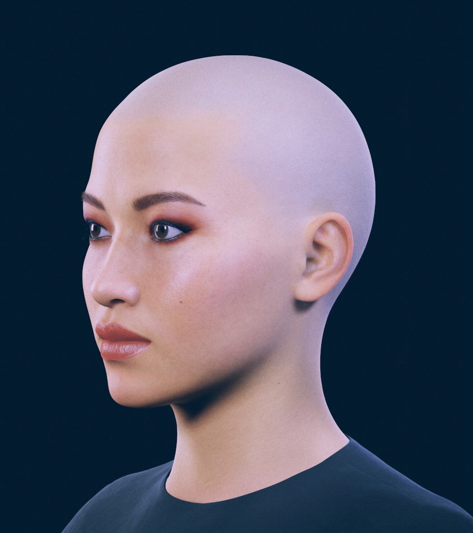 Ponytail Breakdown