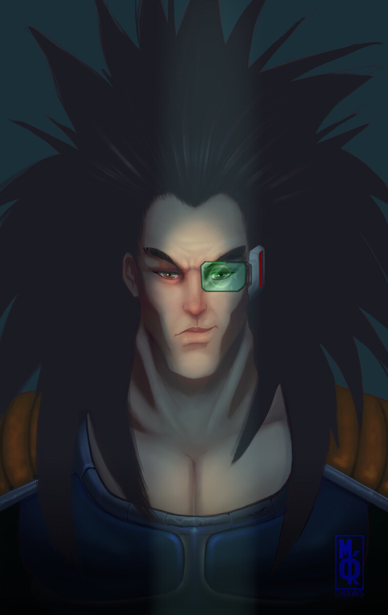 Raditz shop dragon ball
