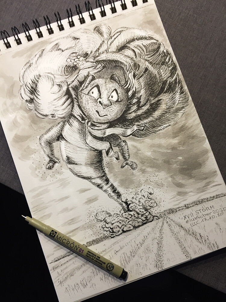 17. STORM