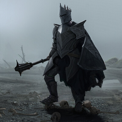 Bram willemot black knight