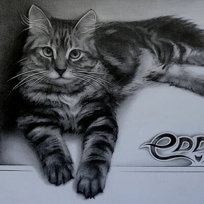 Encho enchev cat drawing 1